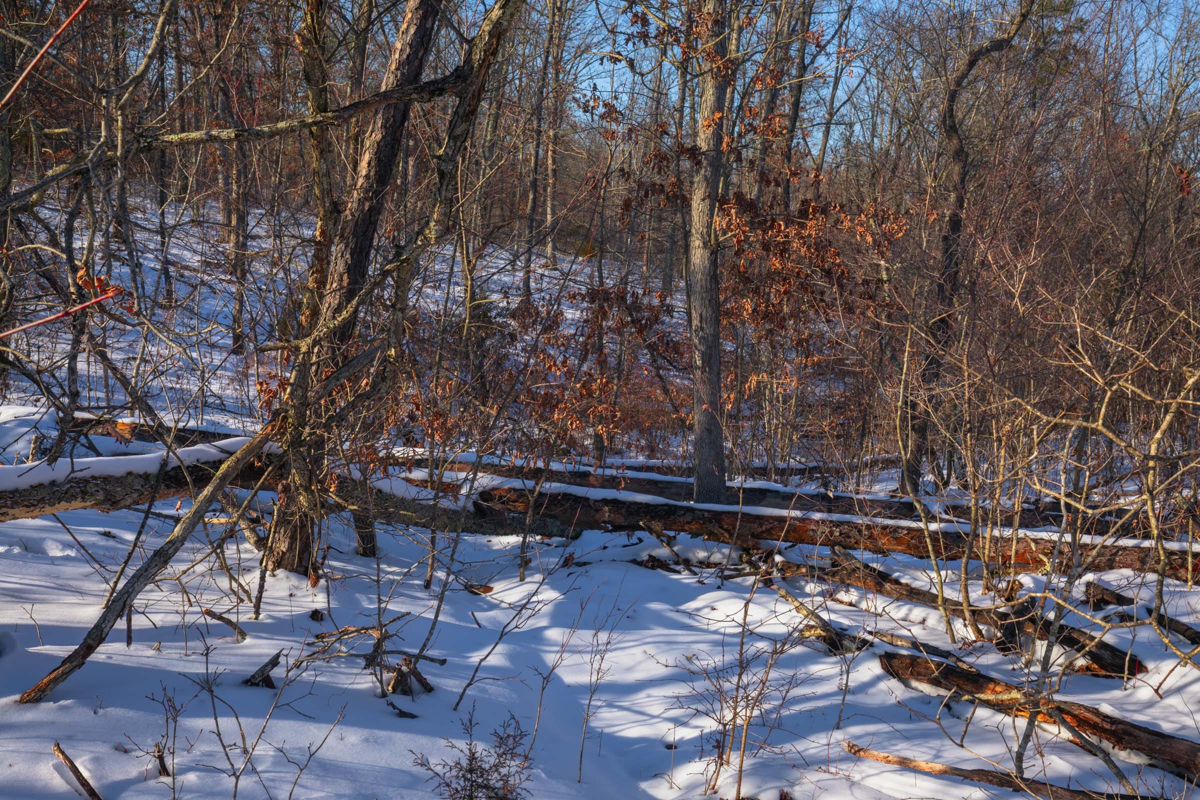 Sleepy Hollow Phase I Tract 54 photo 5