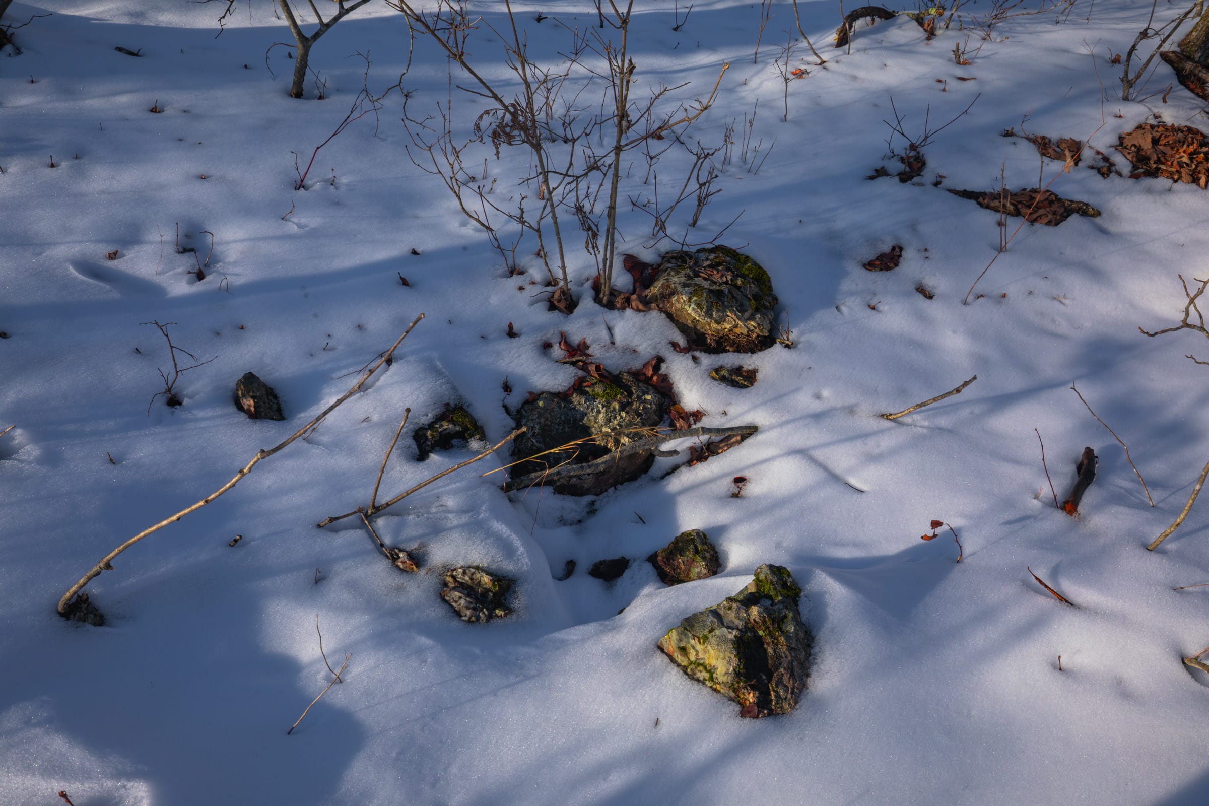 Sleepy Hollow Phase I Tract 54 photo 10