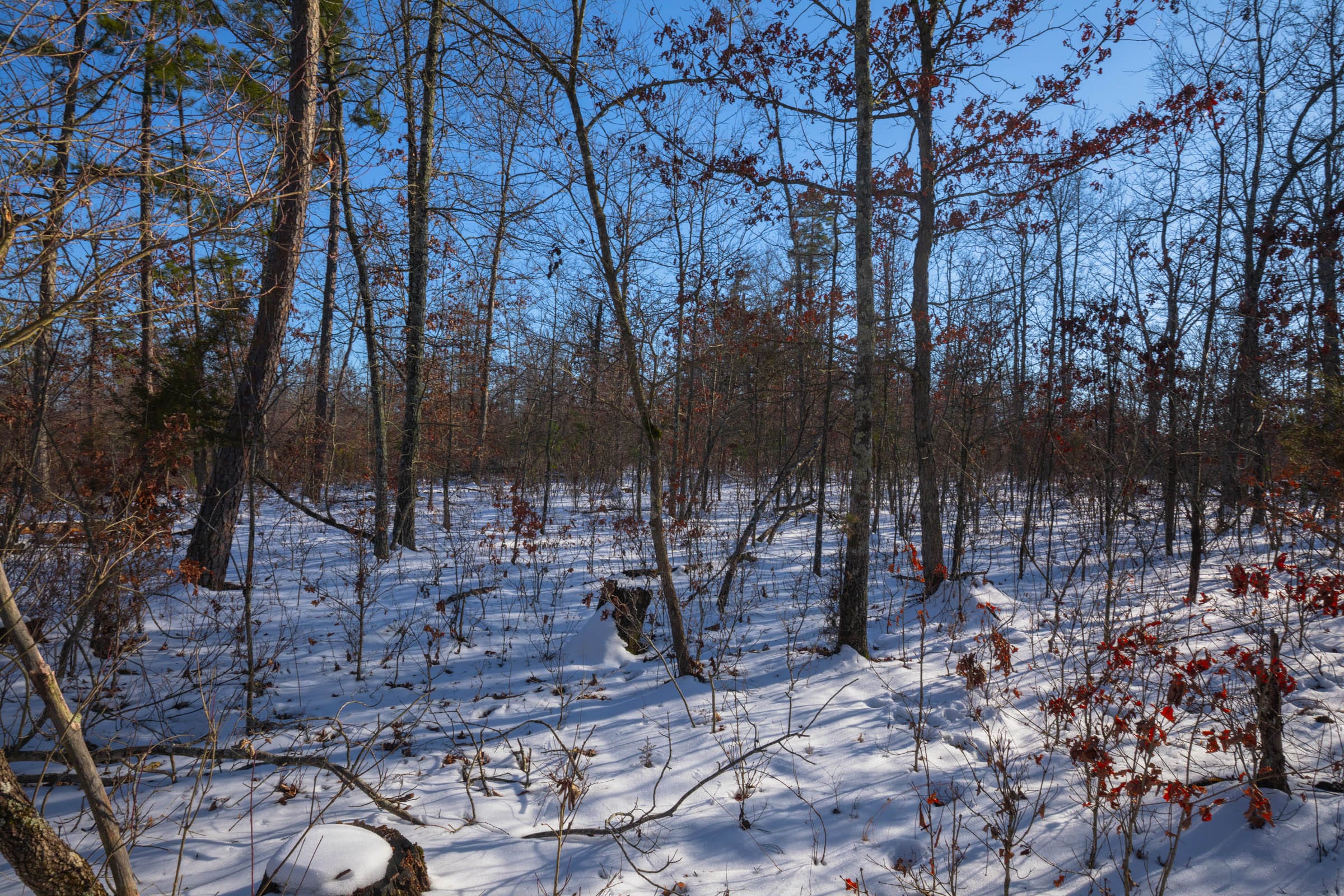 Sleepy Hollow Phase I Tract 54 photo 9