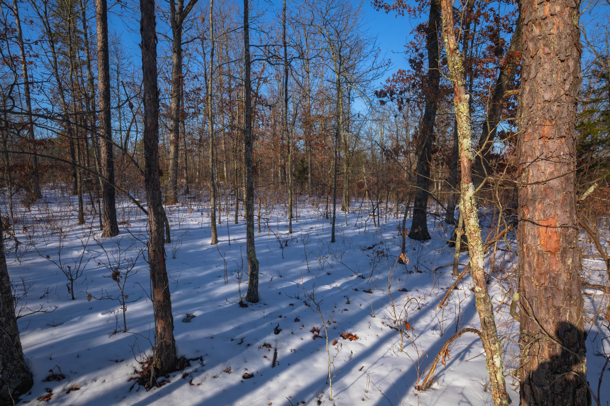 Sleepy Hollow Phase I Tract 54 photo 8