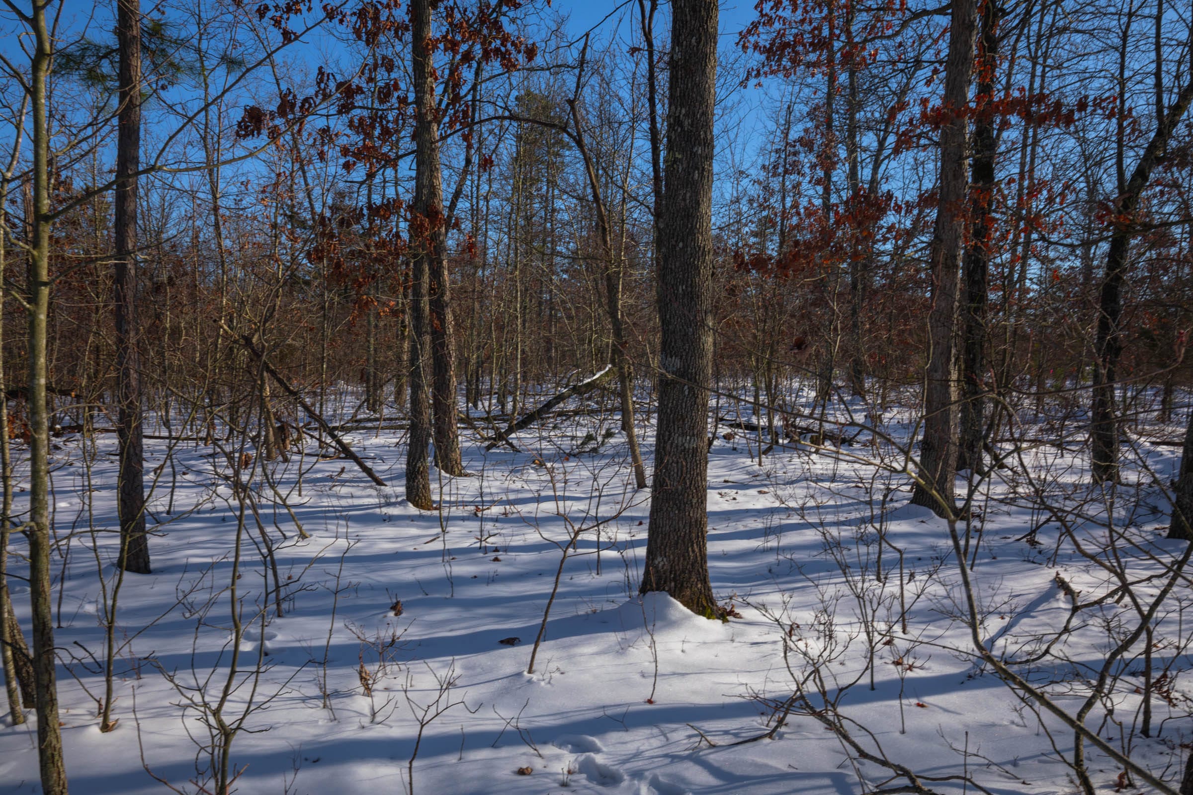 Sleepy Hollow Phase I Tract 54 photo 6