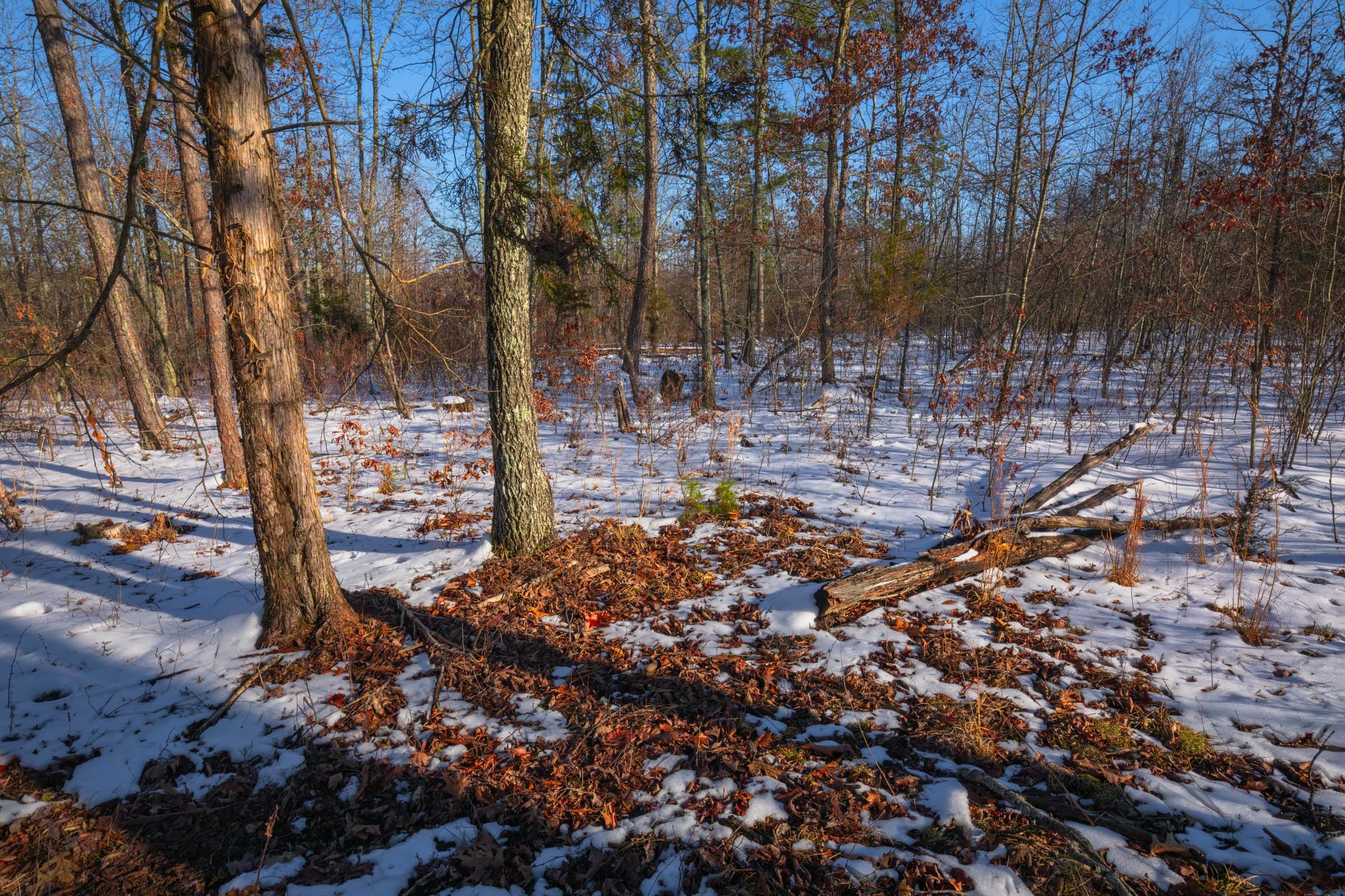 Sleepy Hollow Phase I Tract 54 photo 4