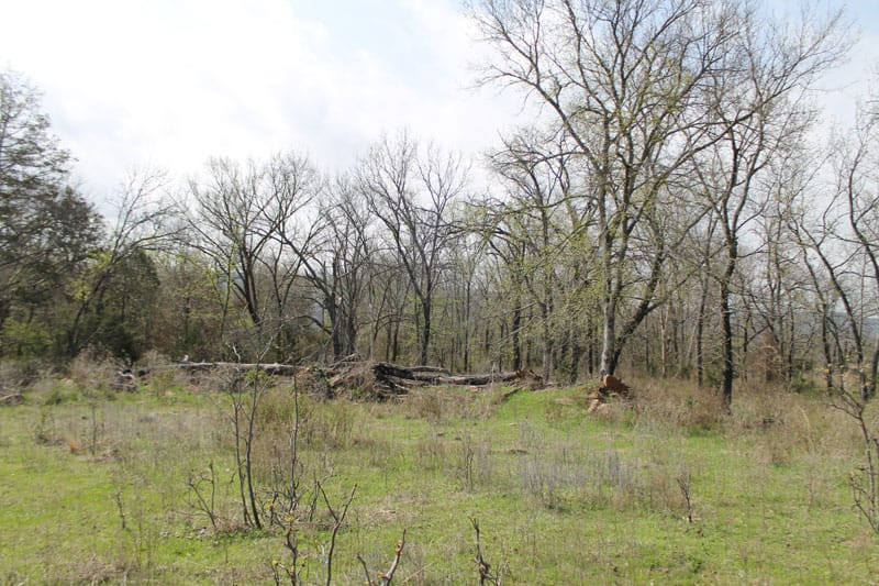 Daisy Meadows Tract 5 photo 2