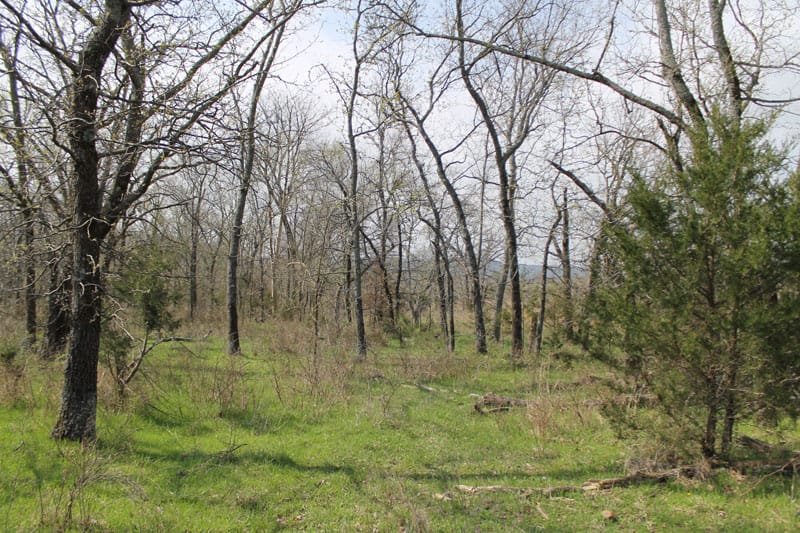 Daisy Meadows Tract 5 photo 3