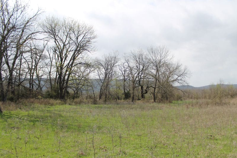 Daisy Meadows Tract 5 photo 4