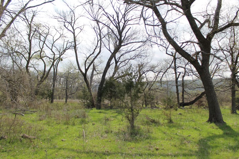 Daisy Meadows Tract 5 photo 5