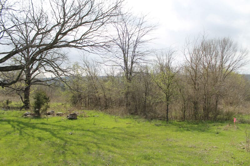 Daisy Meadows Tract 5 photo 6