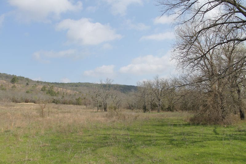 Daisy Meadows Tract 5 photo 7