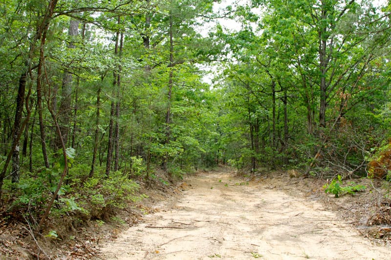 Trophy Ridge Phase II Tract 72 photo 1