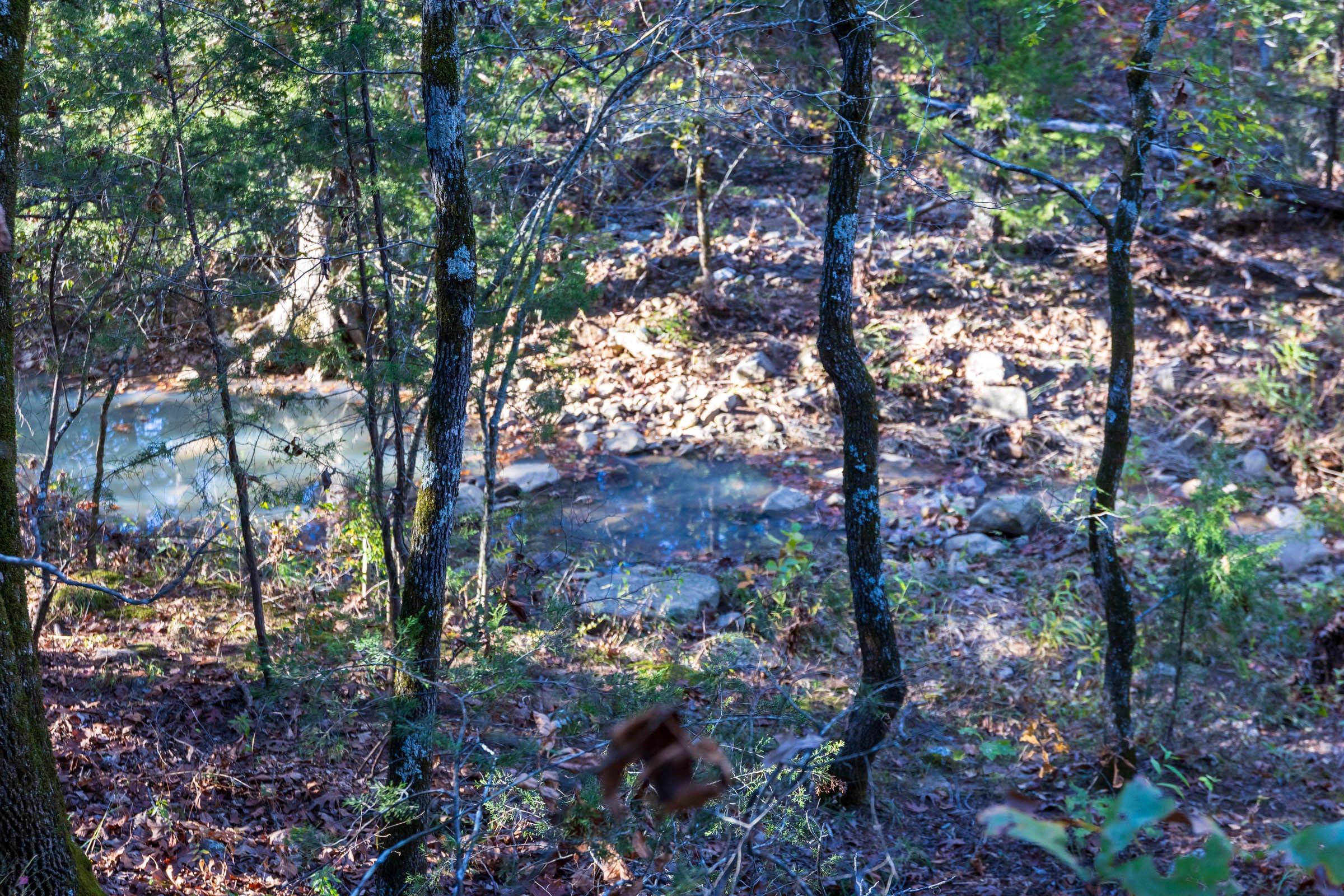 Stone Bridge Reserve Tract 24 photo 3
