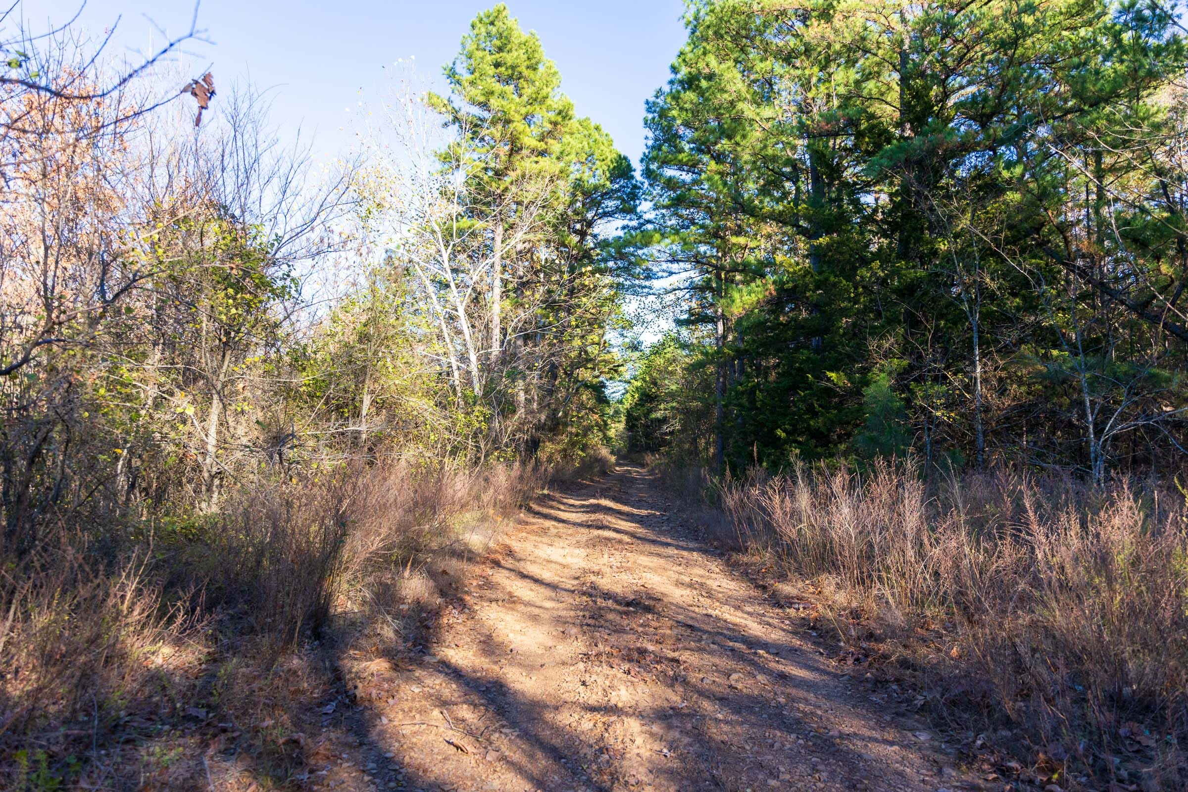 Stone Bridge Reserve Tract 24 photo 12