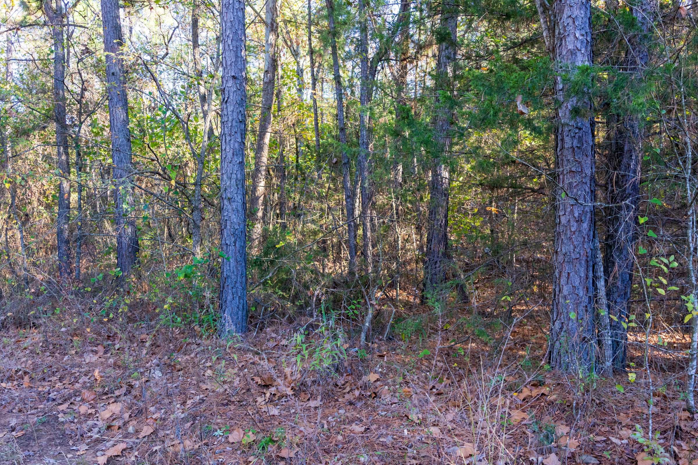 Stone Bridge Reserve Tract 24 photo 11