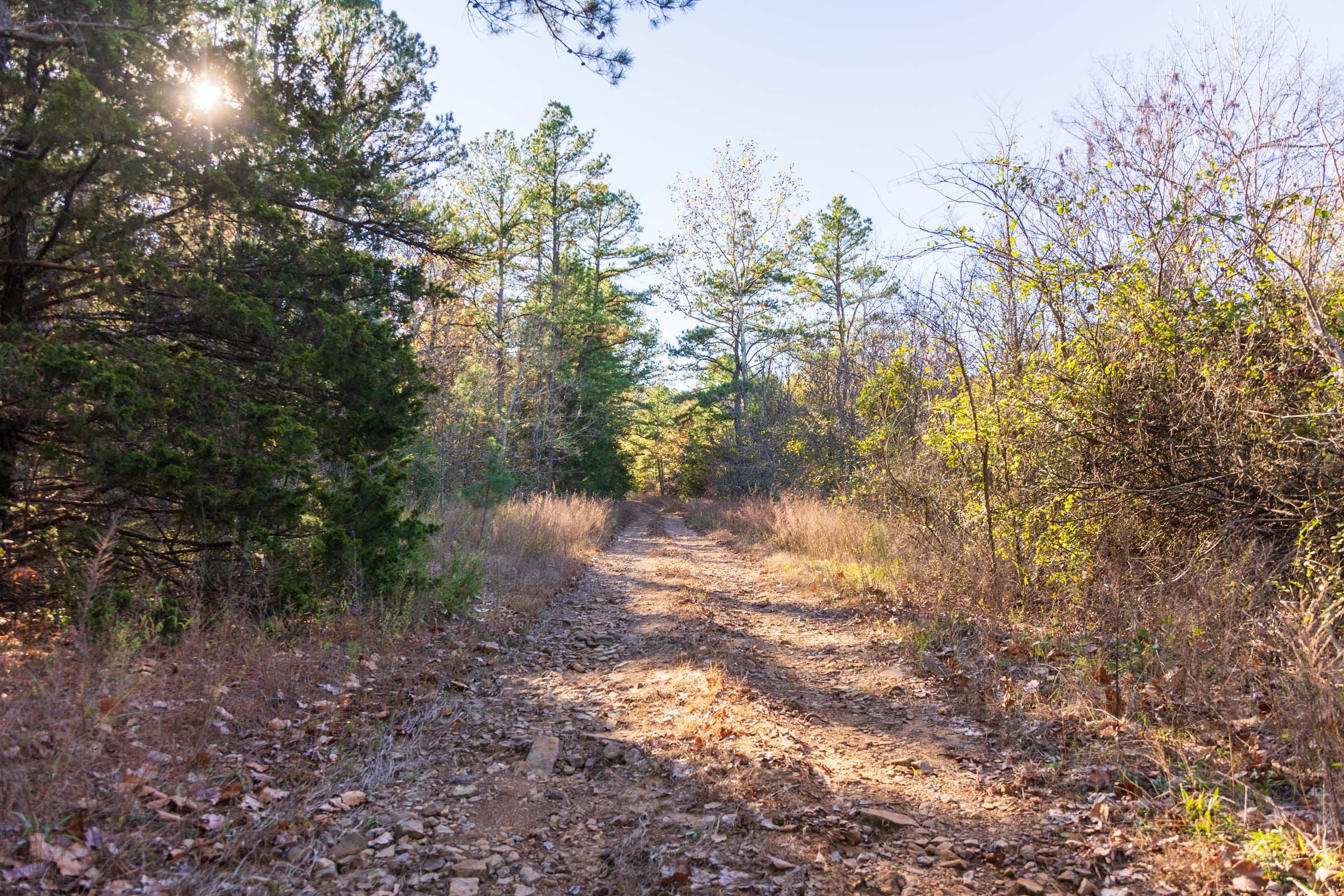Stone Bridge Reserve Tract 24 photo 9
