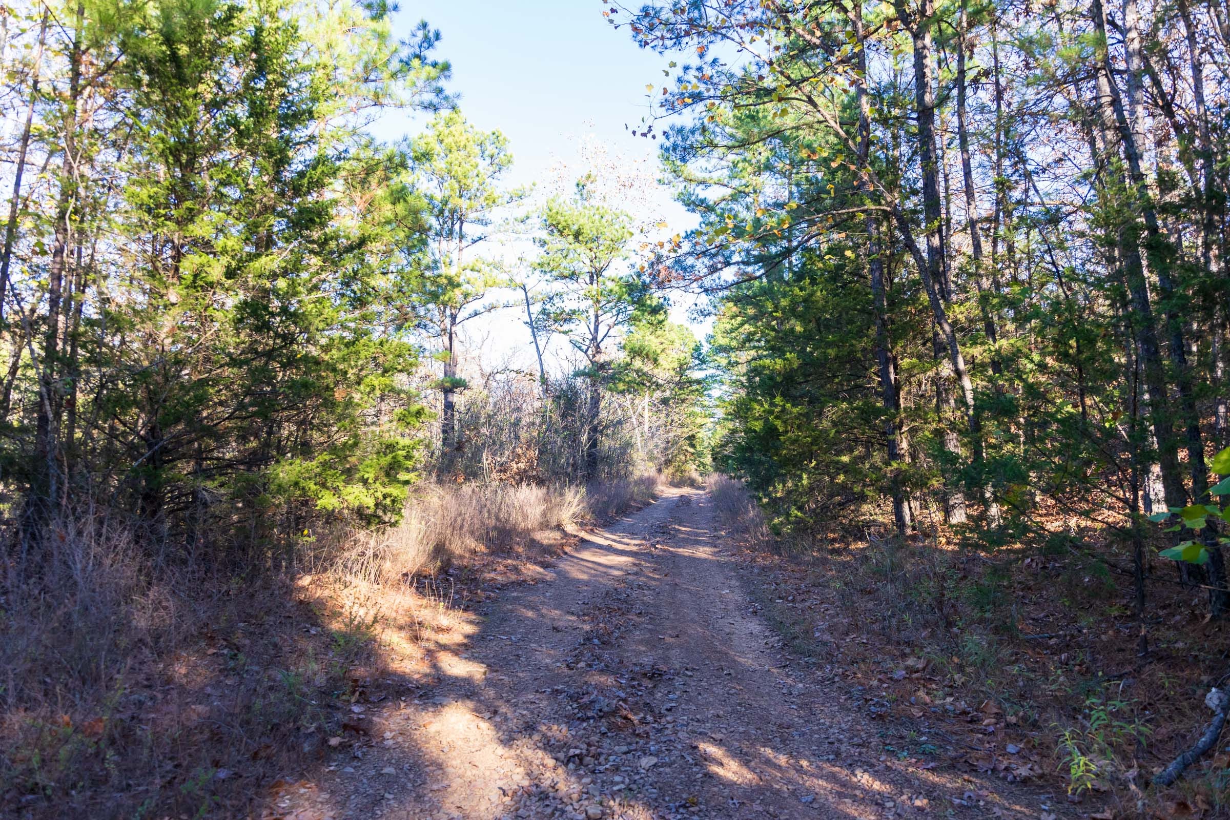 Stone Bridge Reserve Tract 24 photo 10