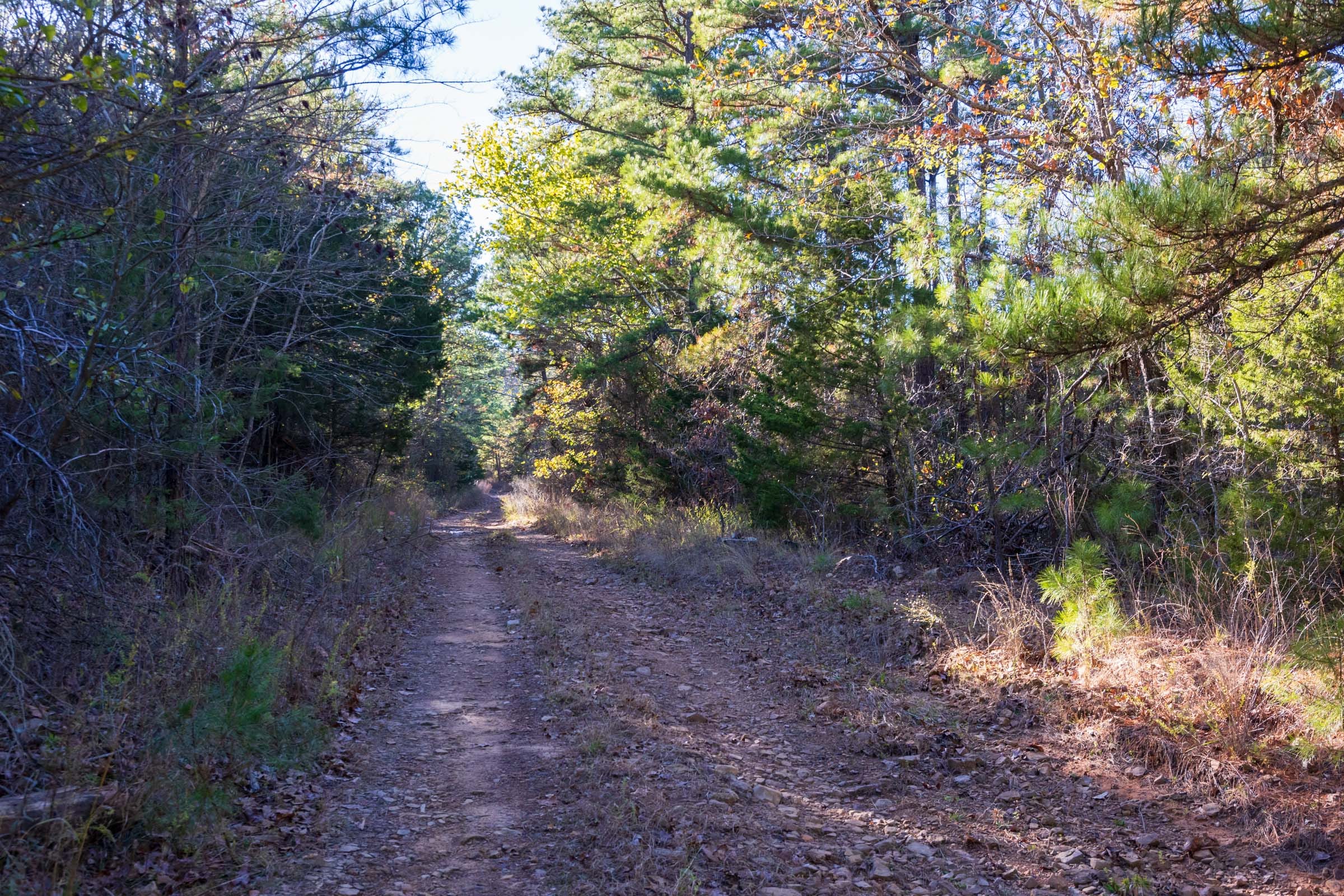 Stone Bridge Reserve Tract 24 photo 5