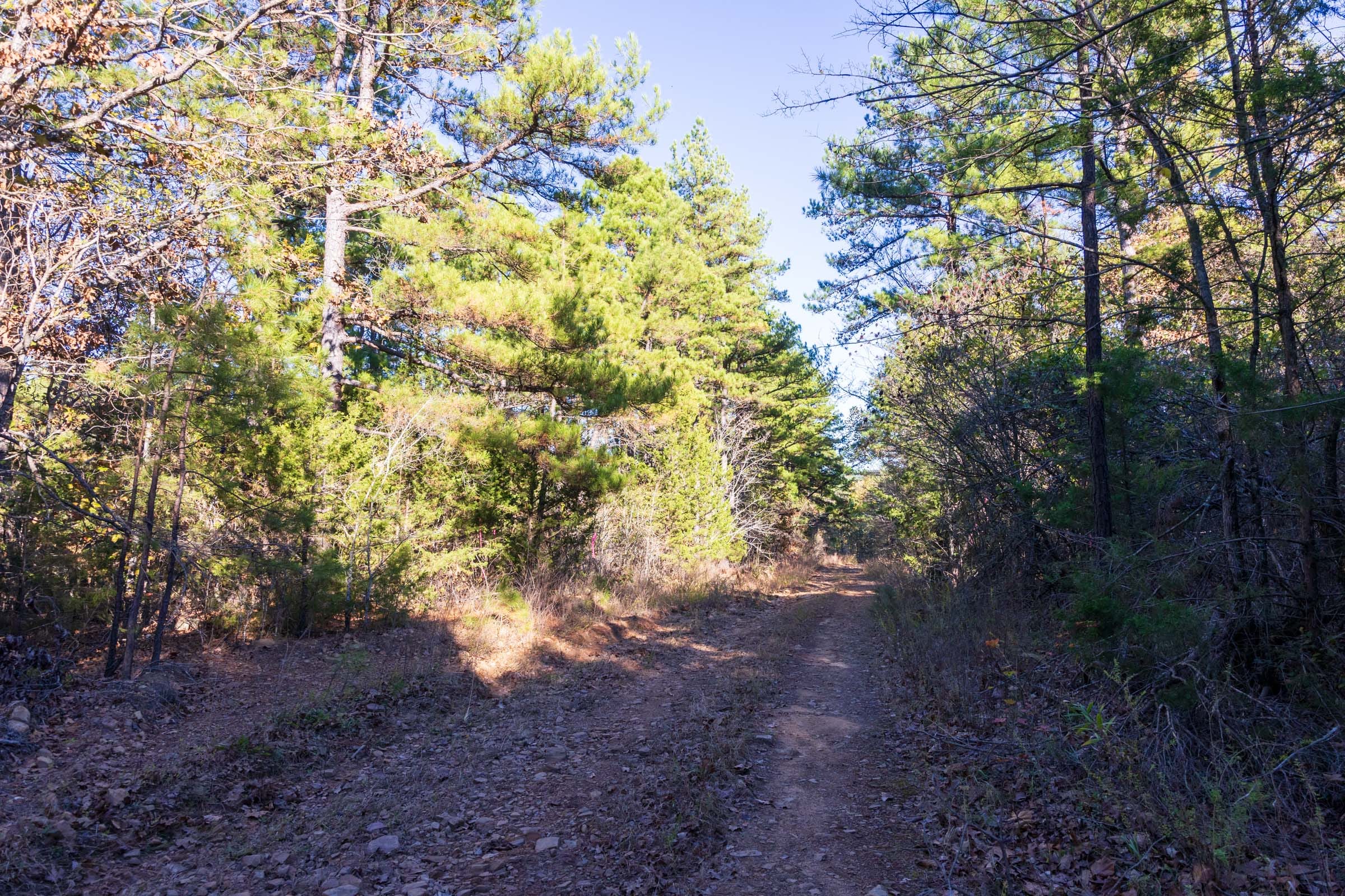 Stone Bridge Reserve Tract 24 photo 8
