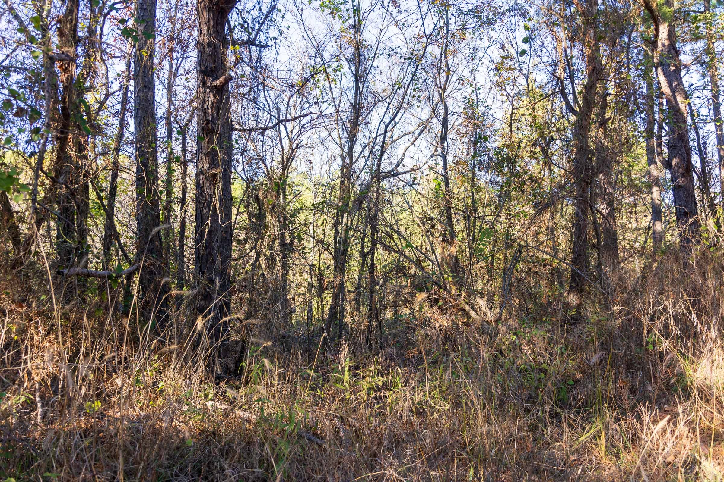 Stone Bridge Reserve Tract 24 photo 7
