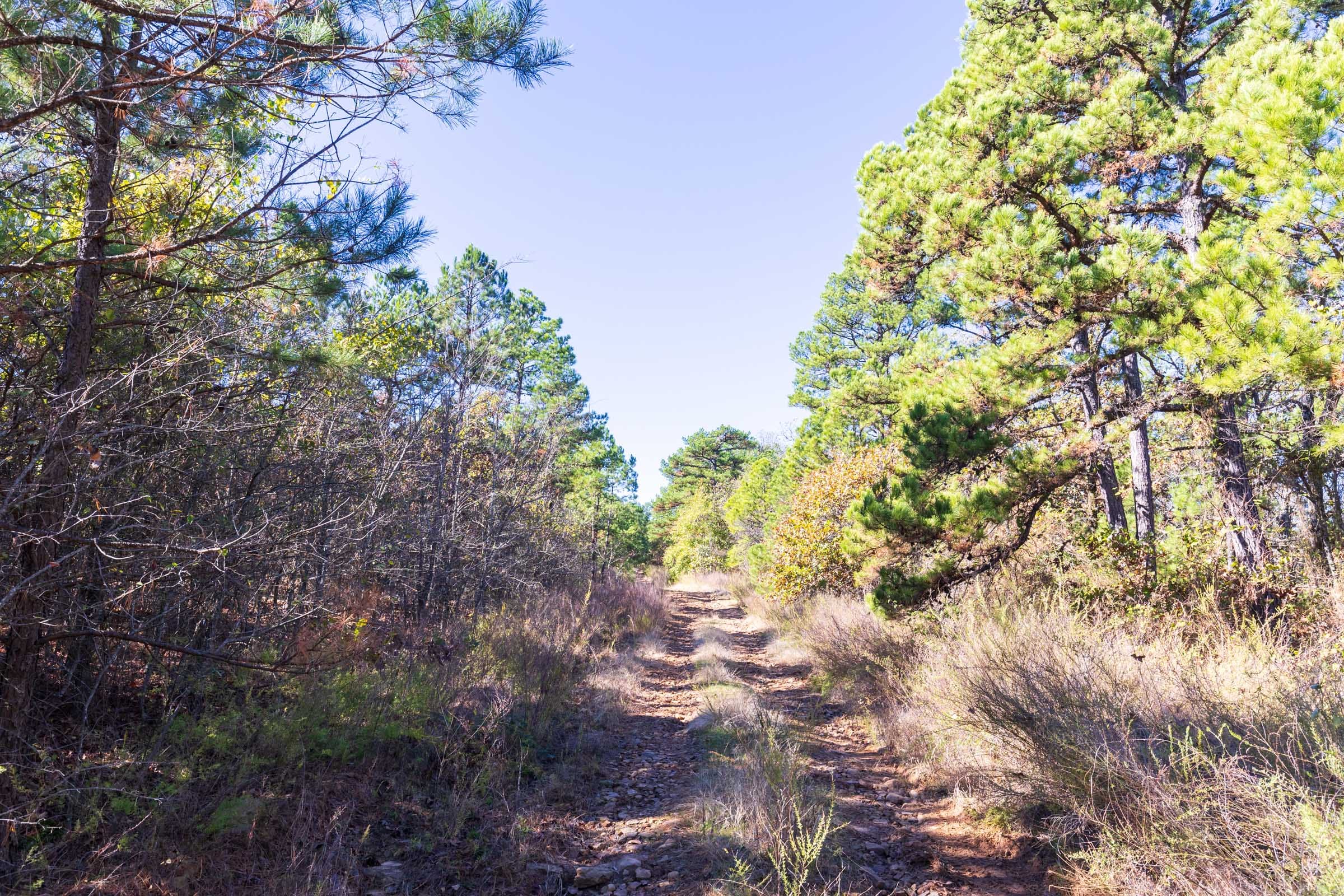 Stone Bridge Reserve Tract 24 photo 6