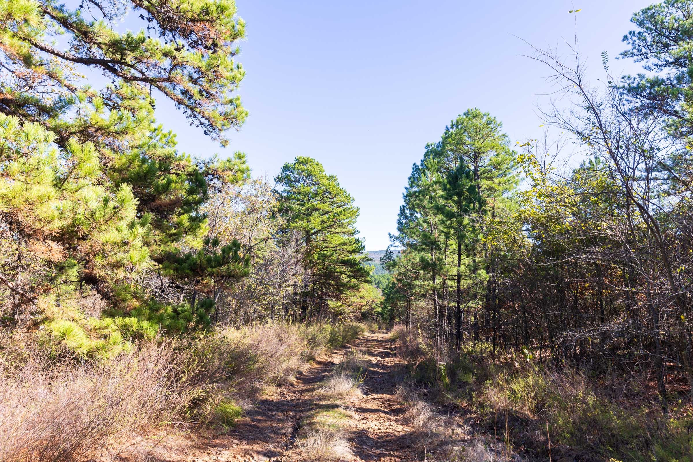 Stone Bridge Reserve Tract 24 photo 4