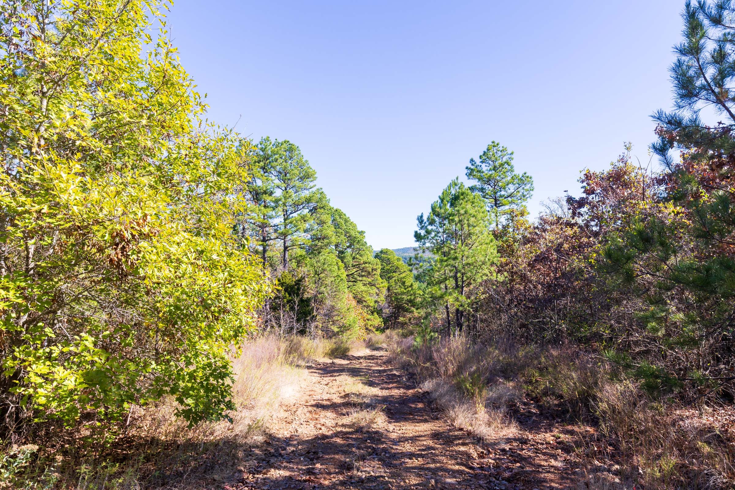 Stone Bridge Reserve Tract 24 photo 1