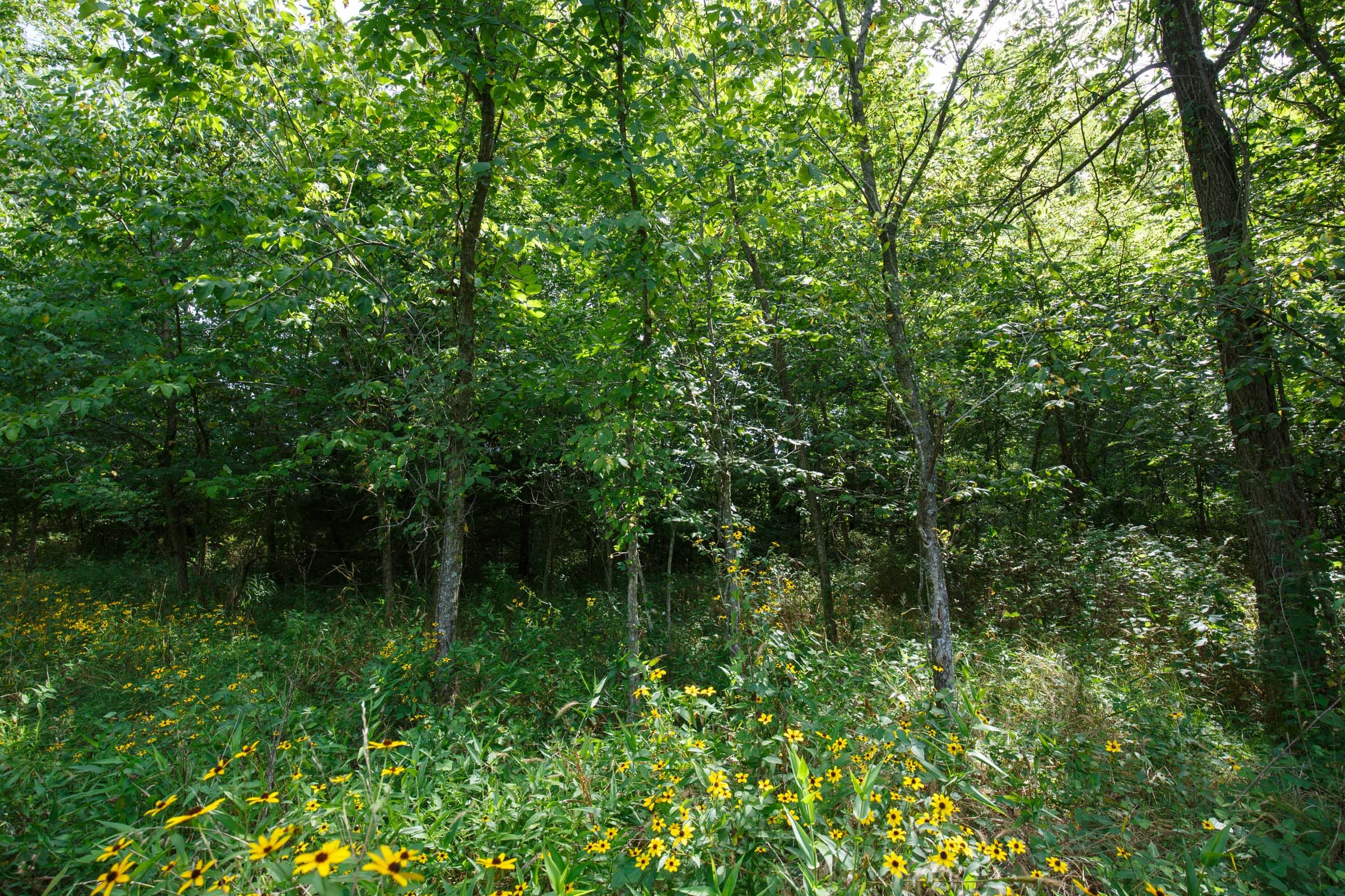 Spring Lake Plat 6 Tract 157 photo 2