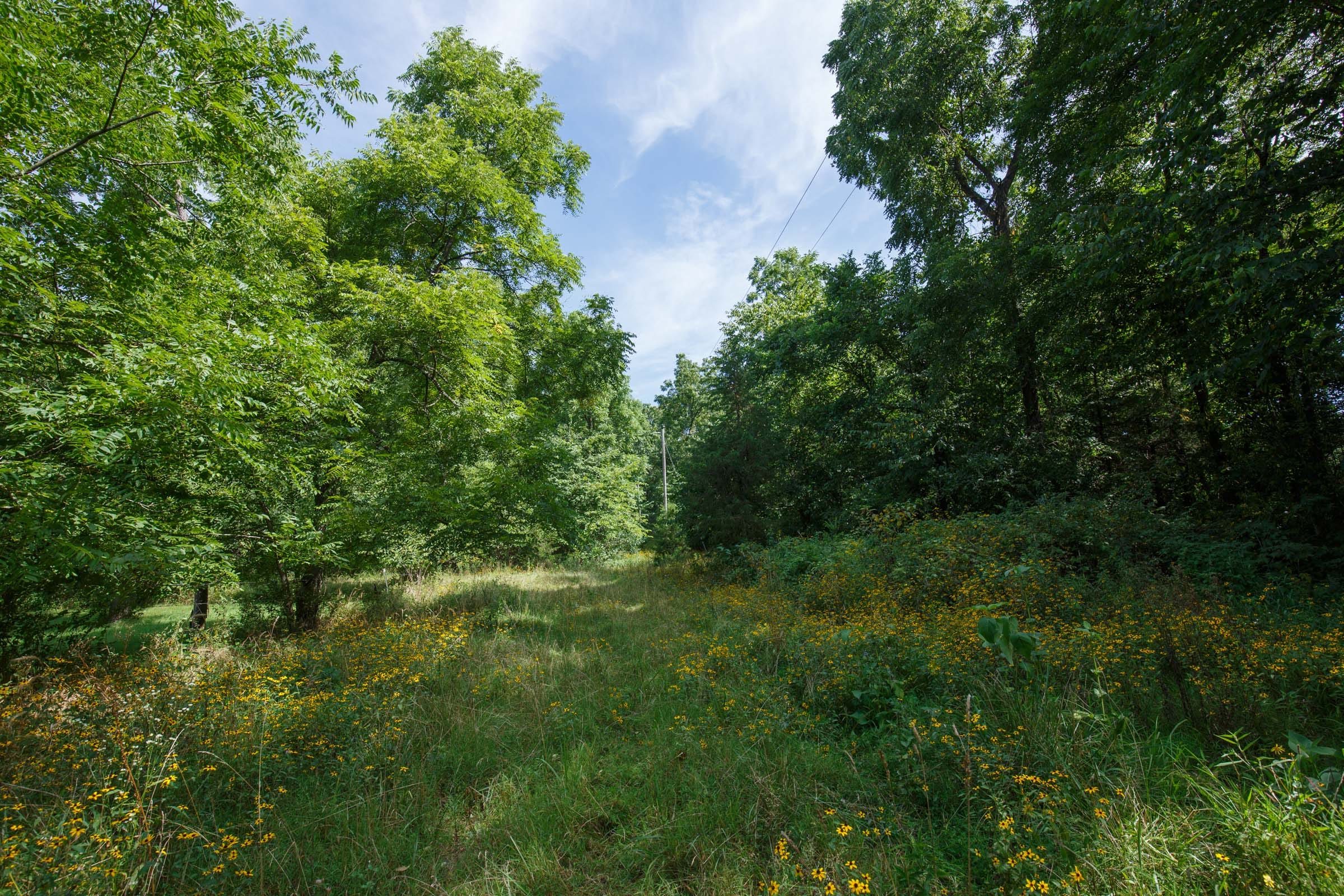 Spring Lake Plat 6 Tract 157 photo 1