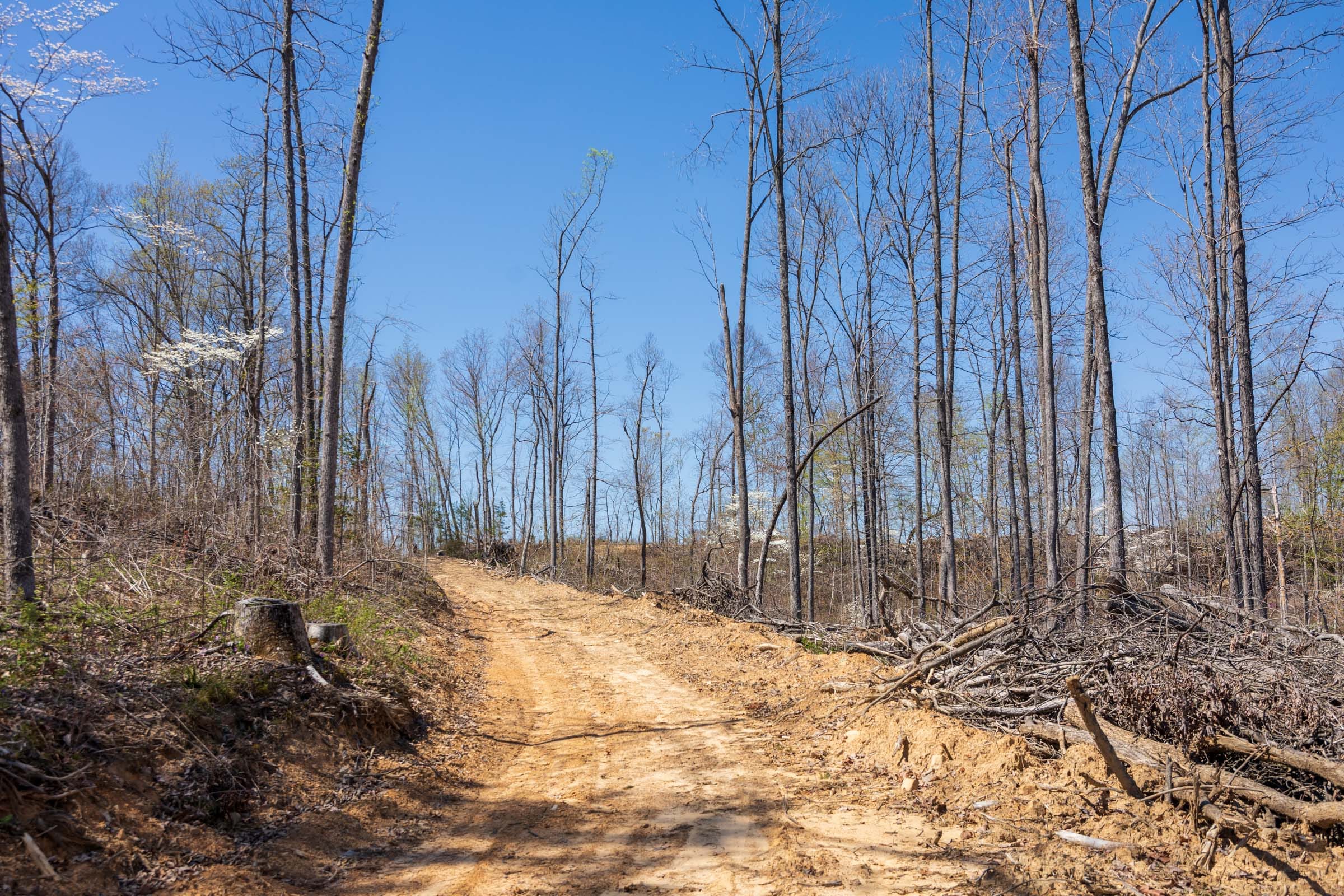 Creek Hollow Phase I Tract 46 photo 1