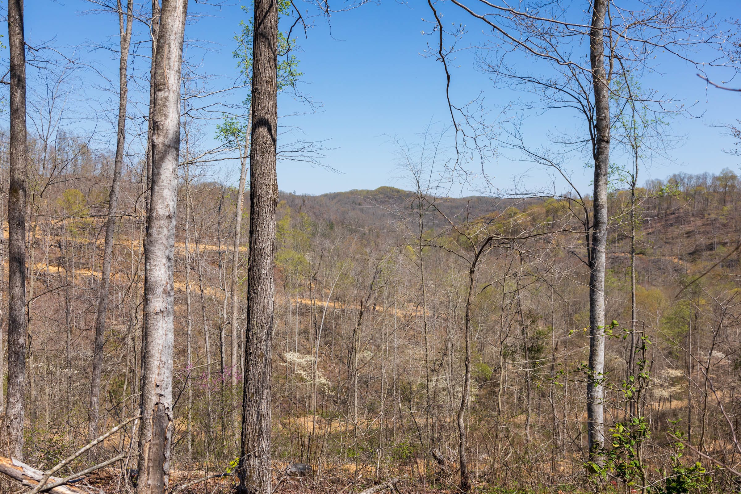 Creek Hollow Phase I Tract 46 photo 2