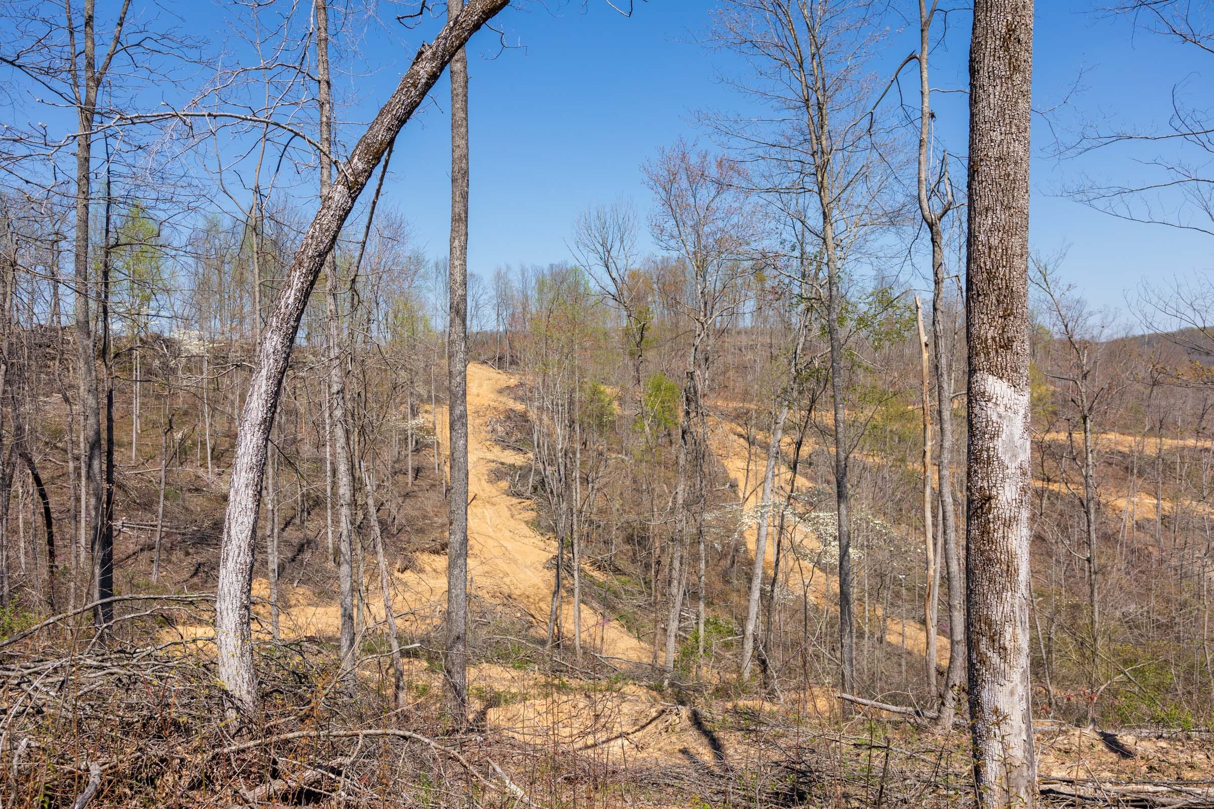 Creek Hollow Phase I Tract 46 photo 4