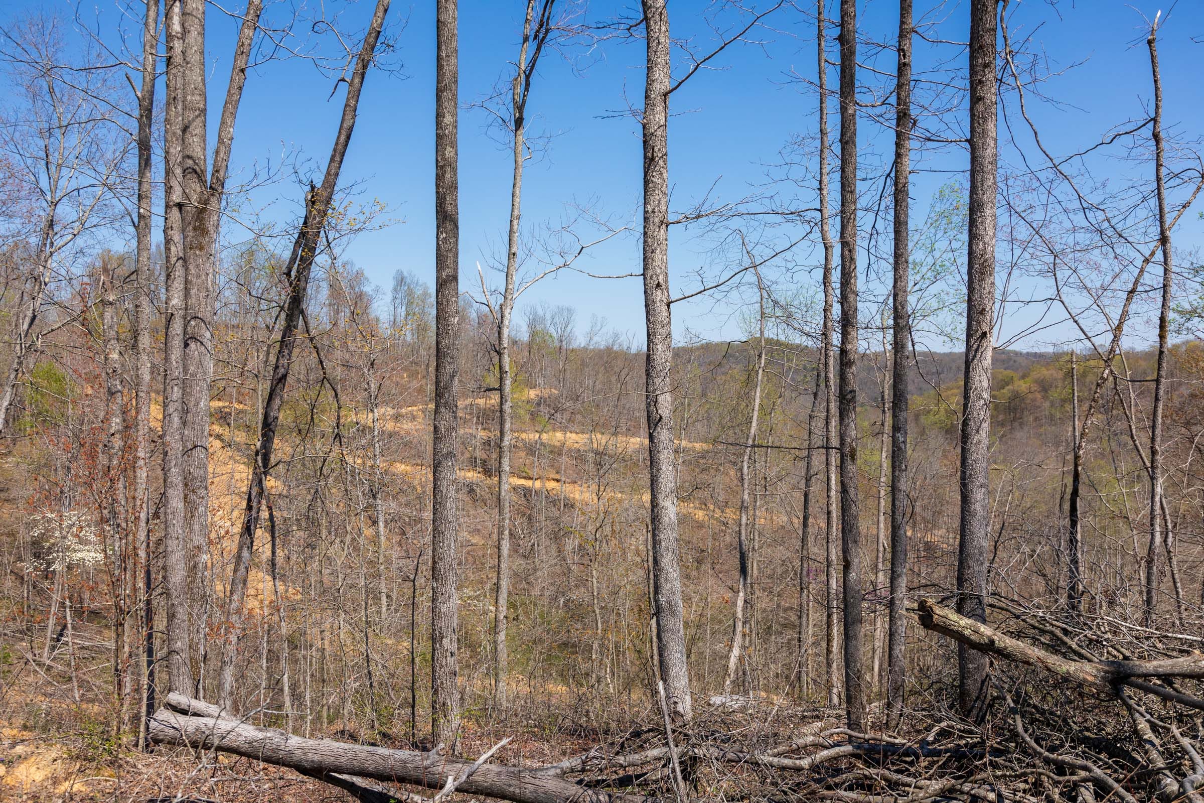 Creek Hollow Phase I Tract 46 photo 6