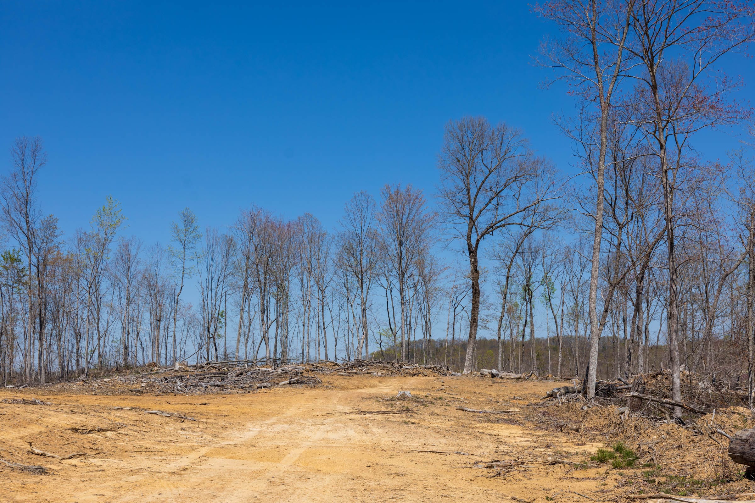 Creek Hollow Phase I Tract 46 photo 7