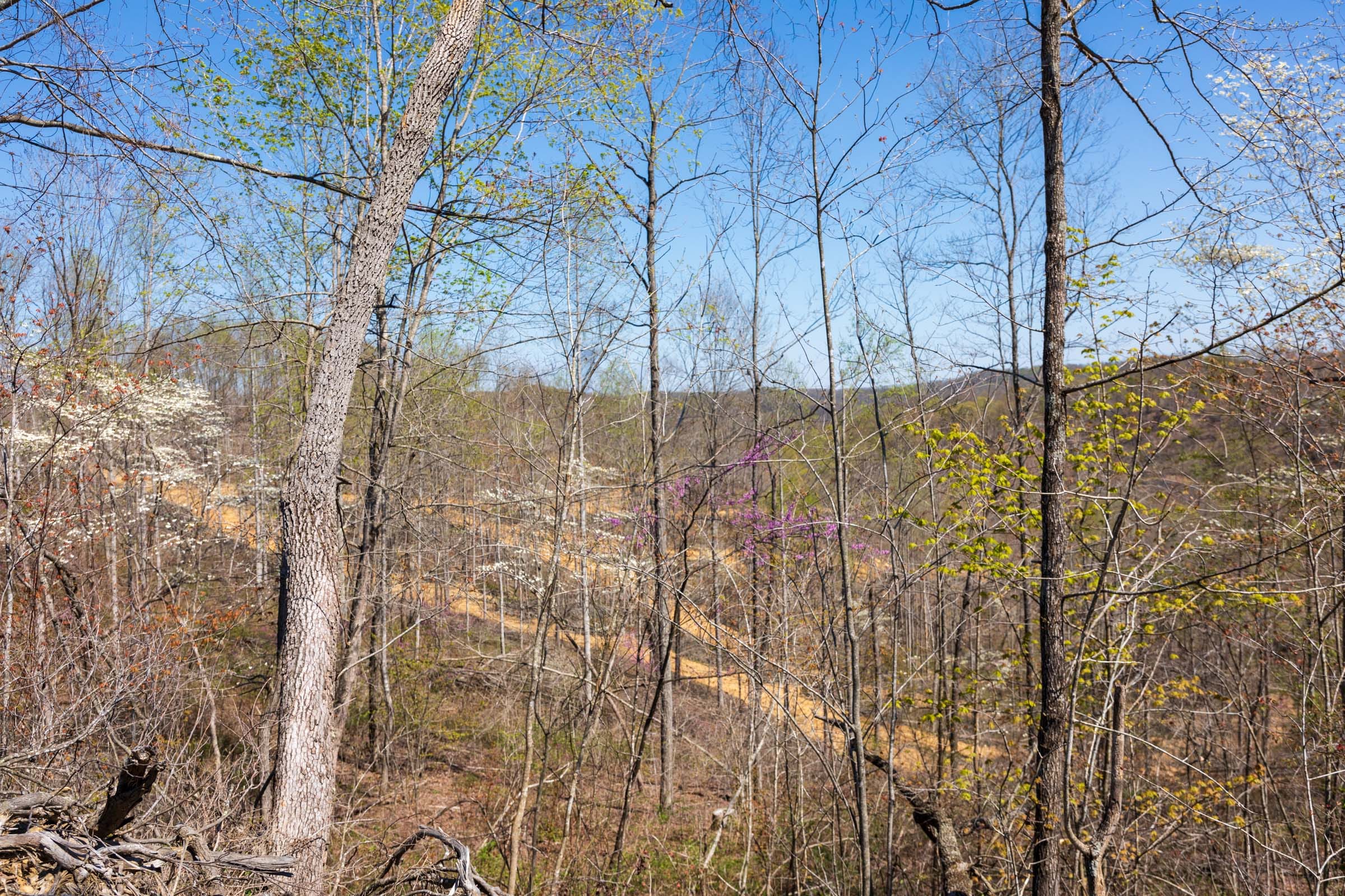 Creek Hollow Phase I Tract 46 photo 8