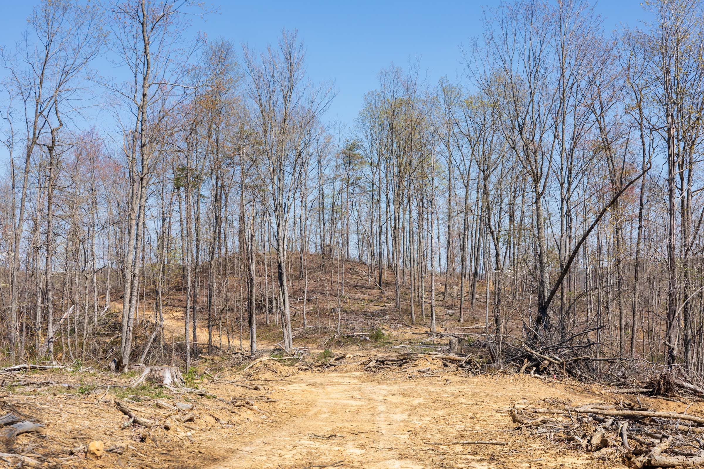 Creek Hollow Phase I Tract 46 photo 3