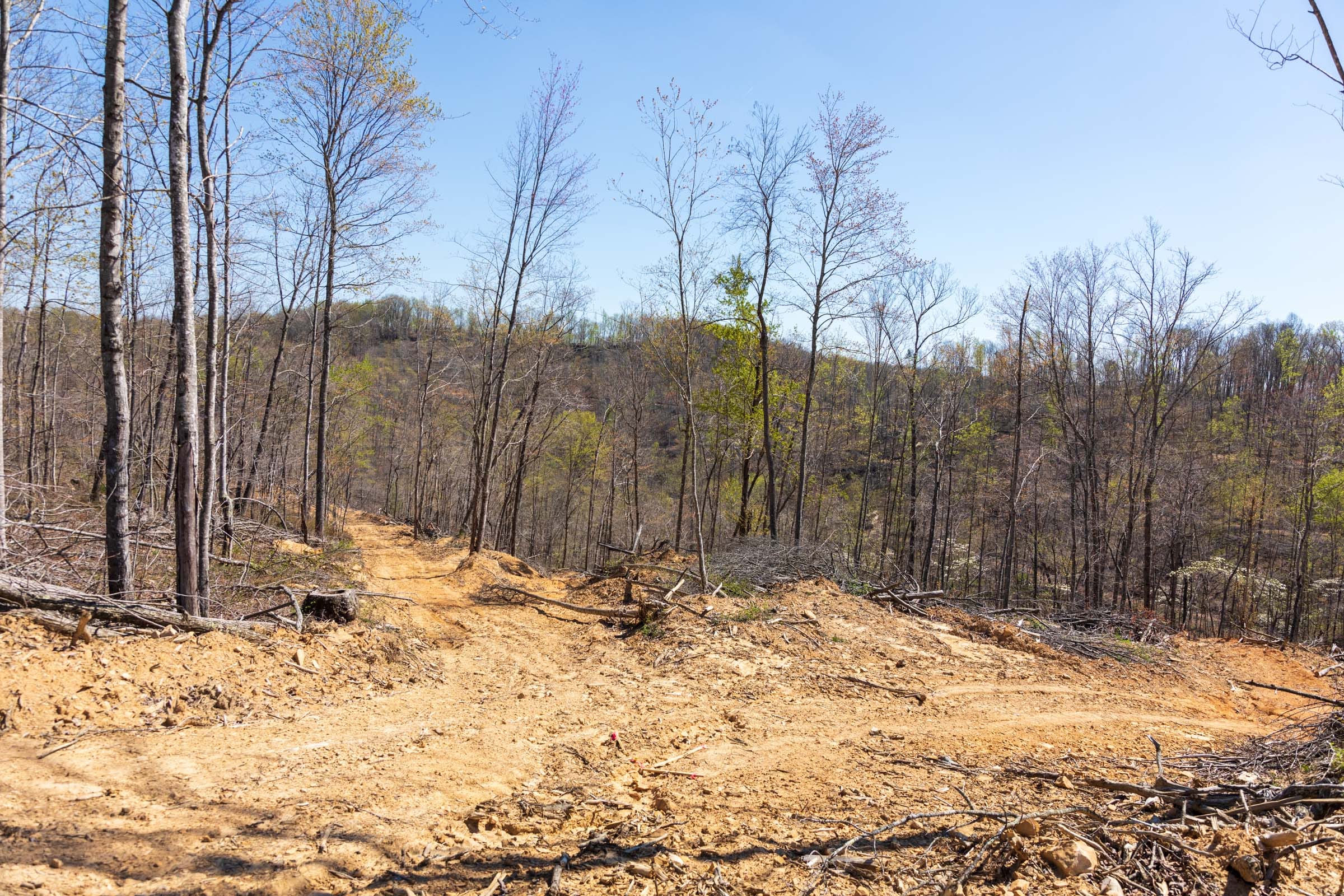 Creek Hollow Phase I Tract 46 photo 5