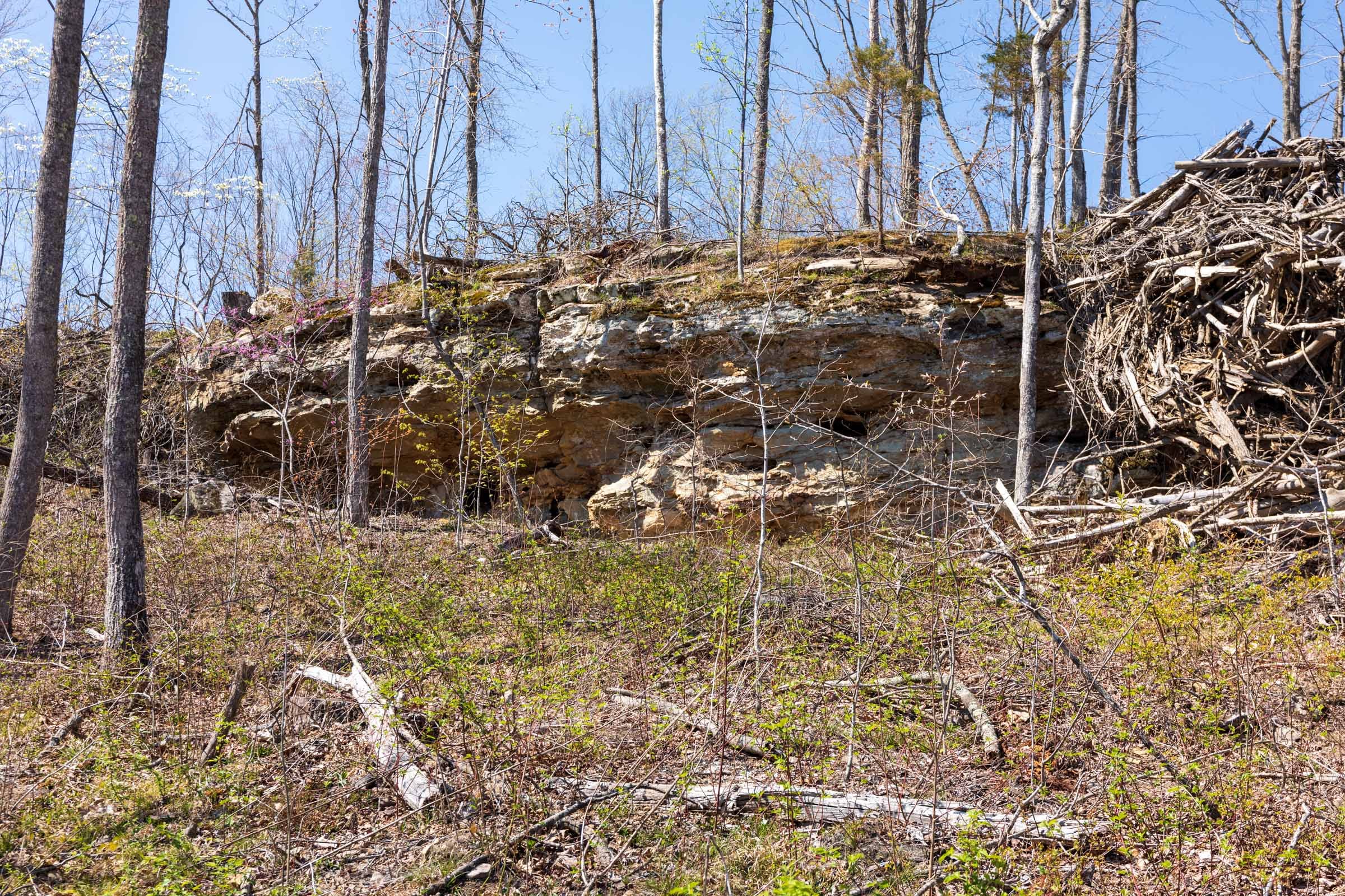 Creek Hollow Phase I Tract 46 photo 10