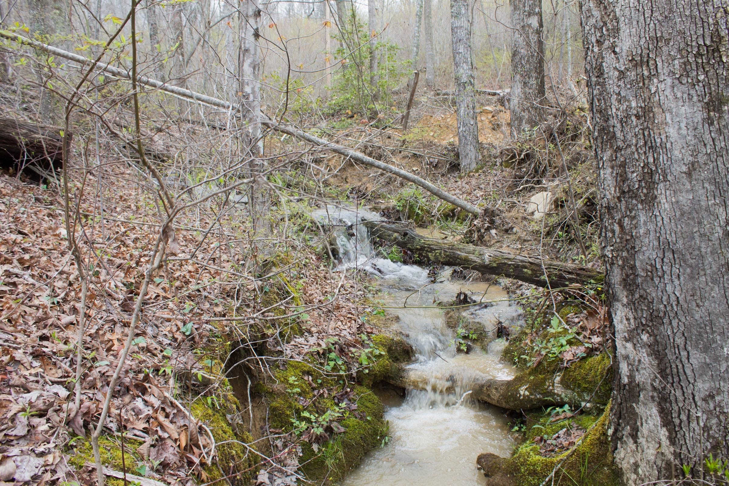 Hidden Hills Tract 22 photo 1