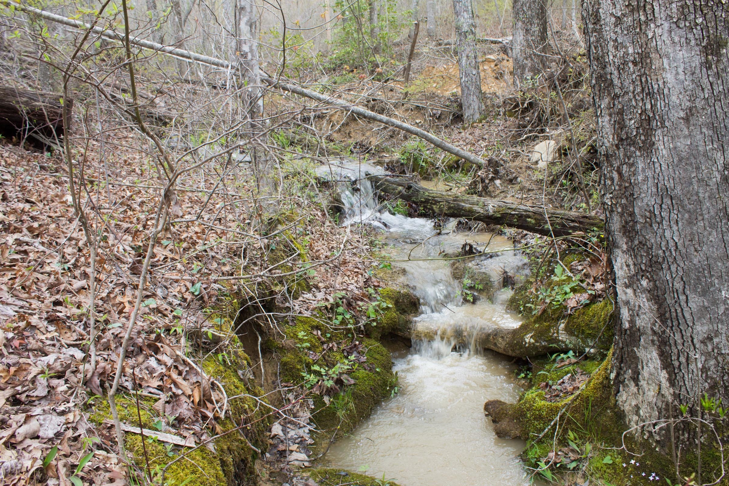 Hidden Hills Tract 22 photo 2
