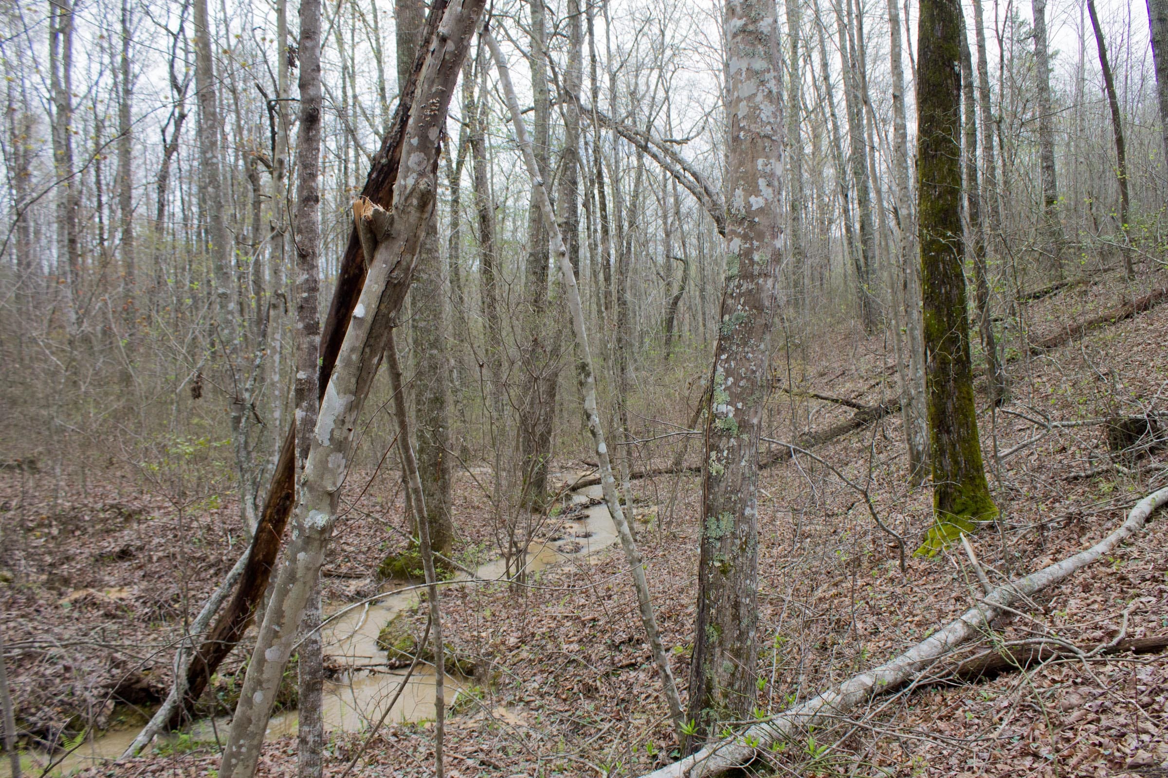 Hidden Hills Tract 22 photo 3