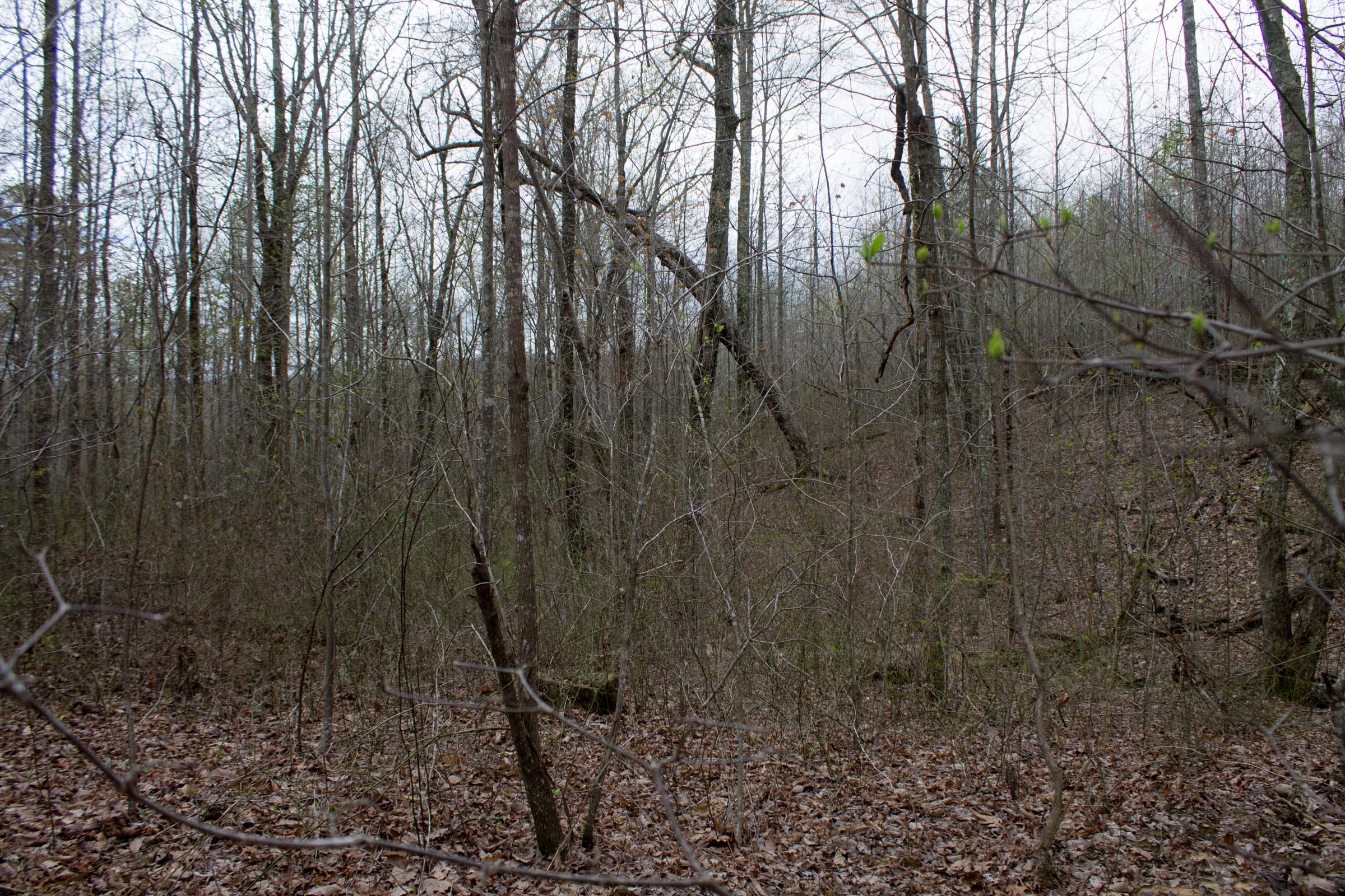 Hidden Hills Tract 22 photo 6