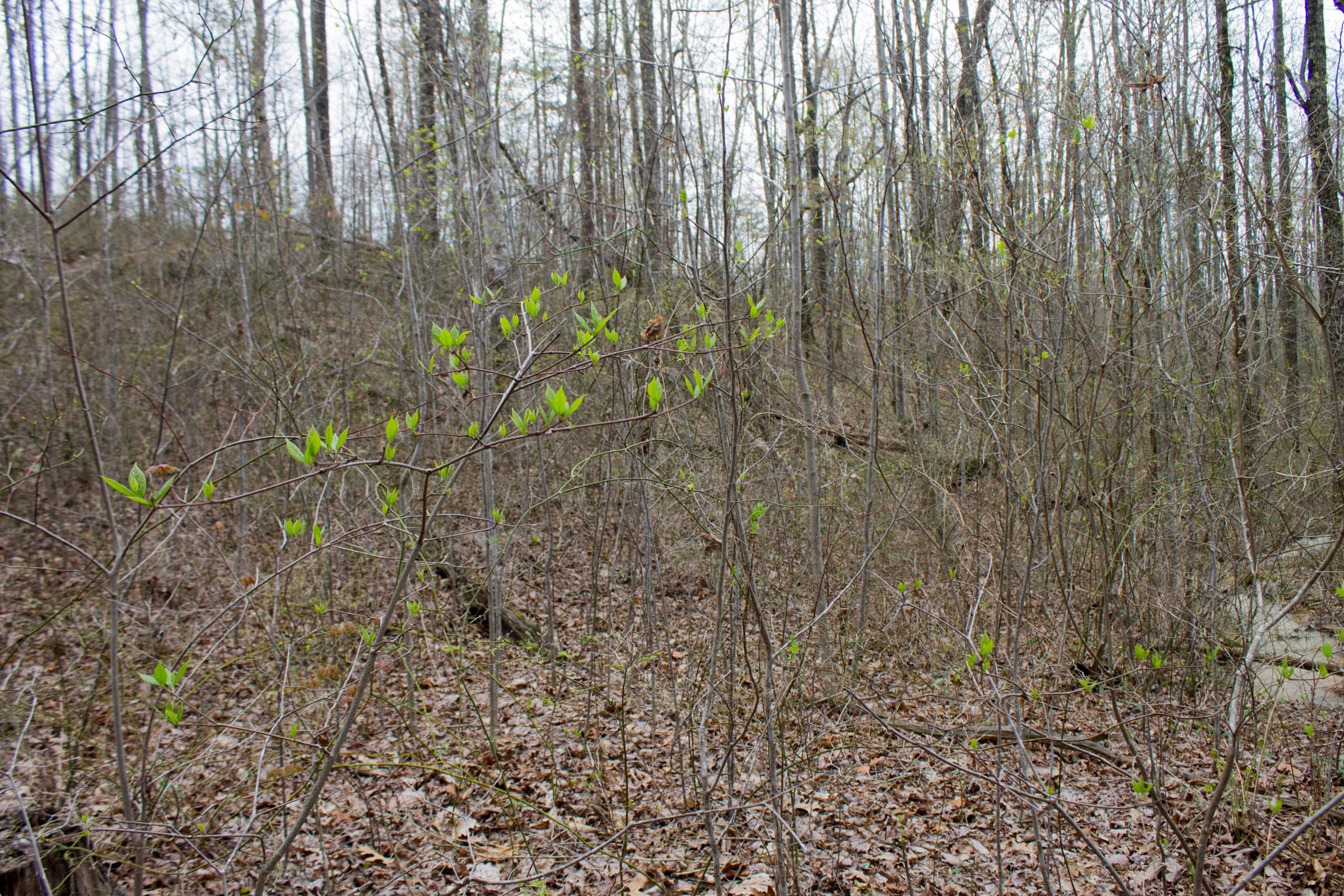 Hidden Hills Tract 22 photo 7