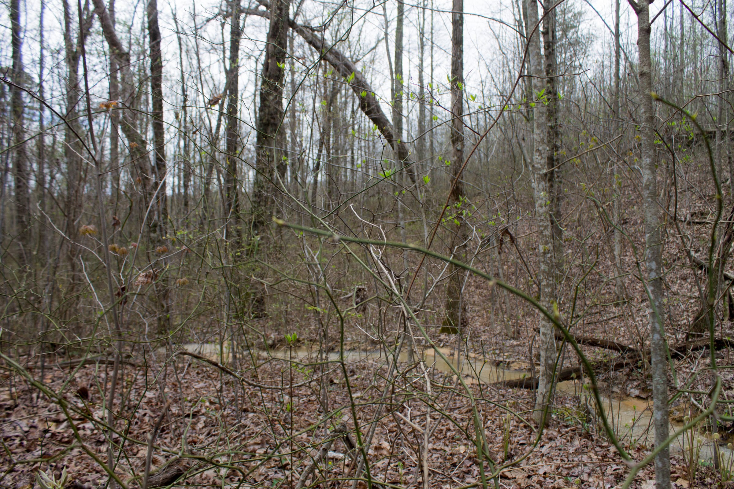 Hidden Hills Tract 22 photo 9