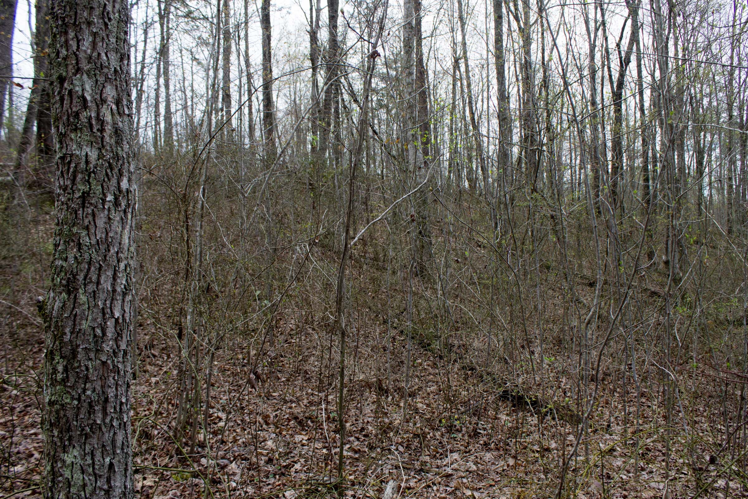 Hidden Hills Tract 22 photo 10
