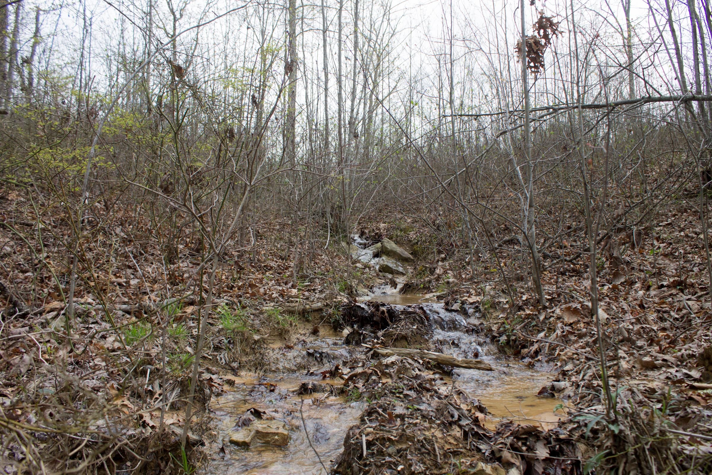 Hidden Hills Tract 22 photo 11