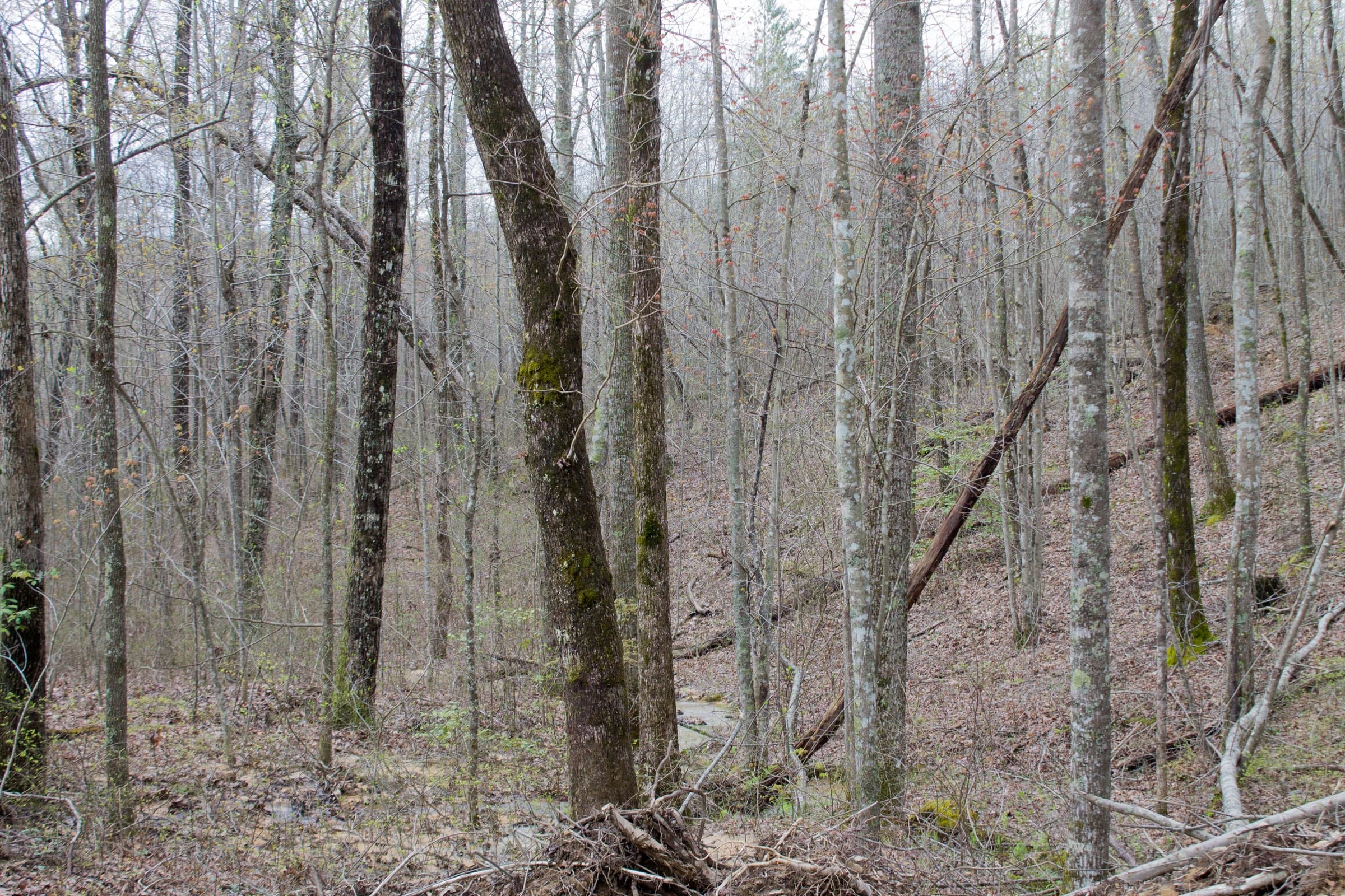 Hidden Hills Tract 22 photo 14