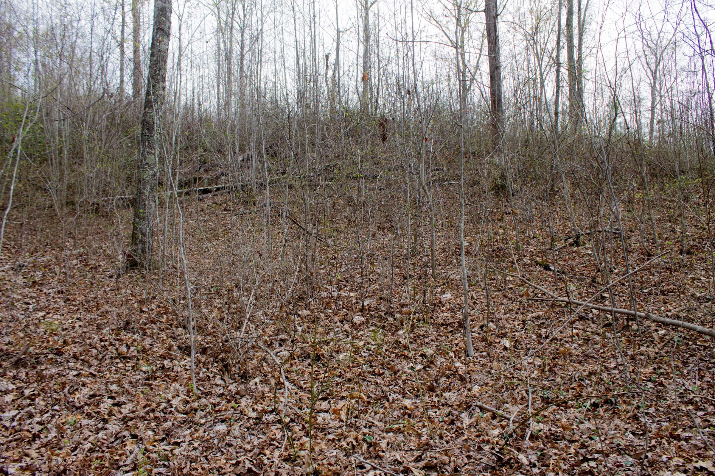 Hidden Hills Tract 22 photo 15
