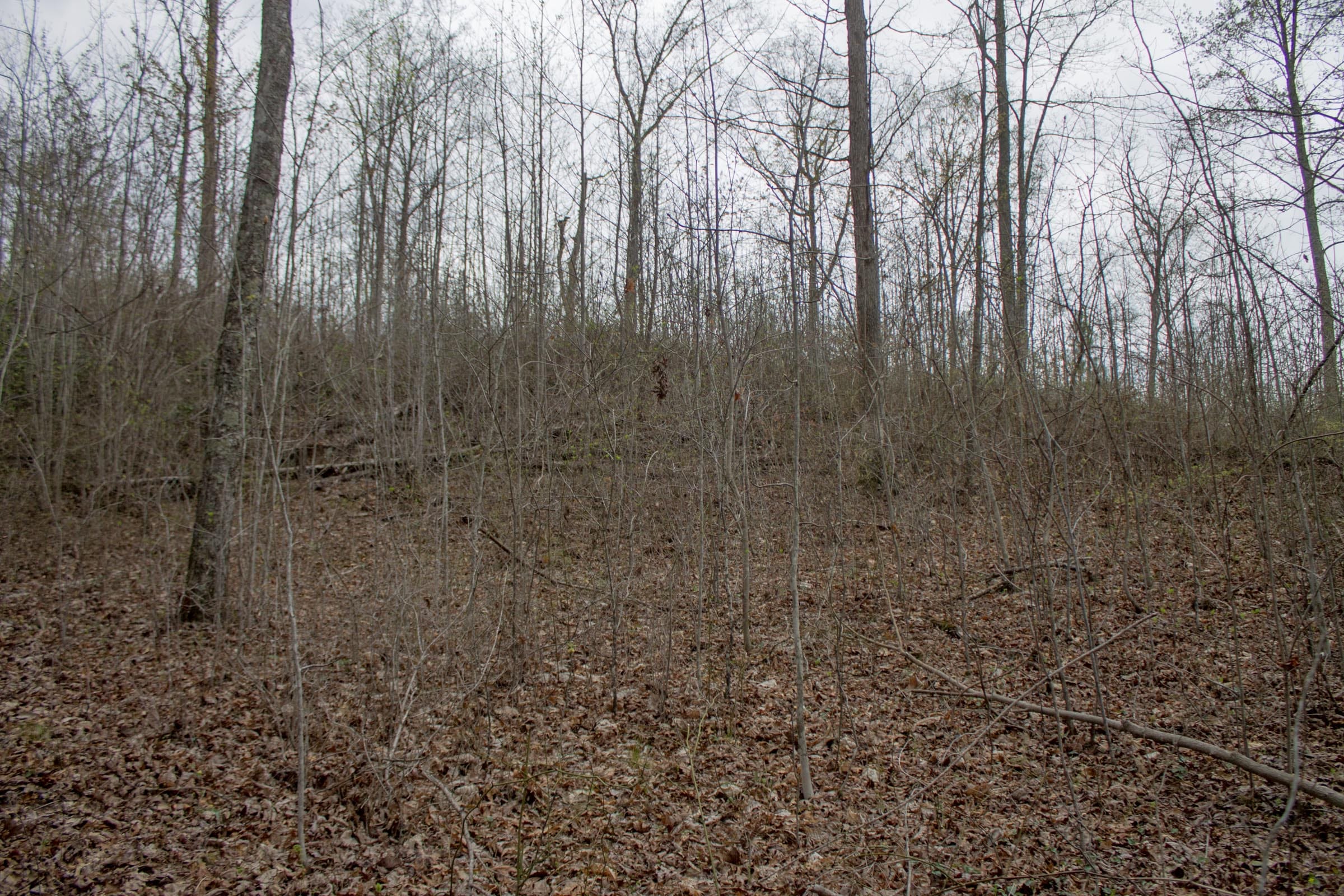 Hidden Hills Tract 22 photo 16