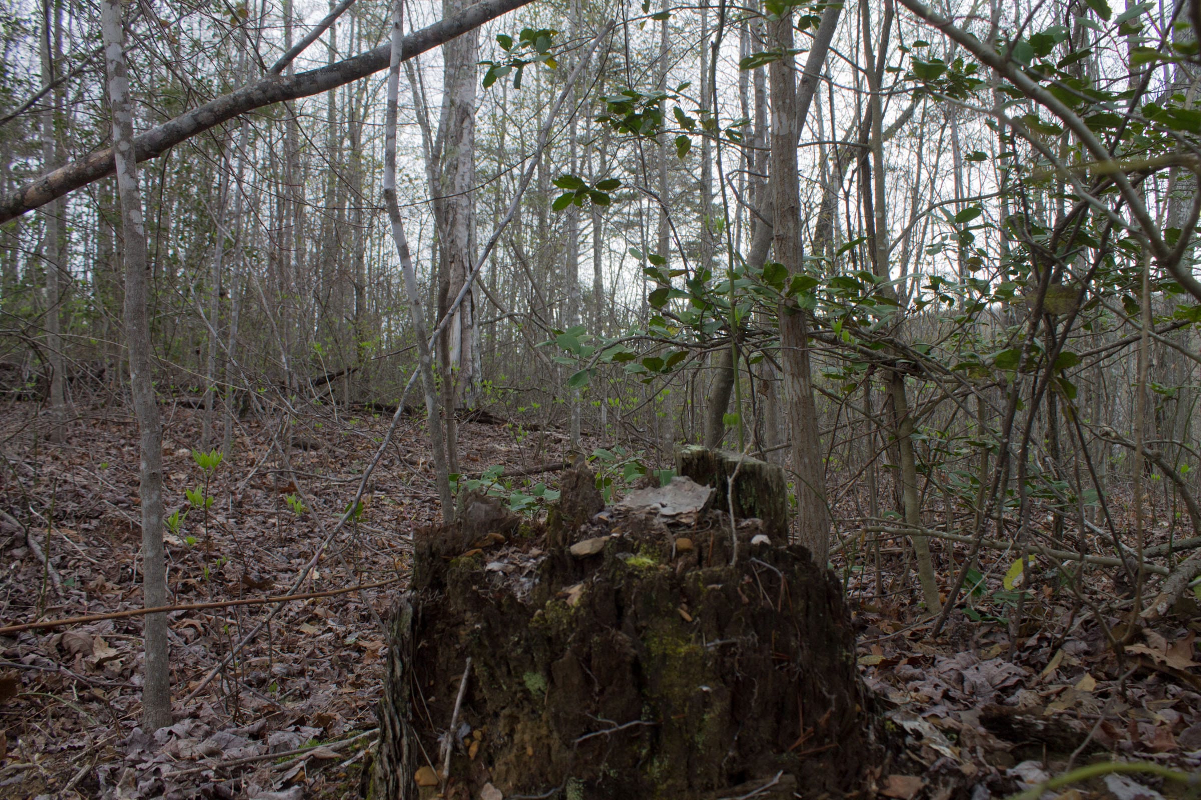 Hidden Hills Tract 22 photo 17