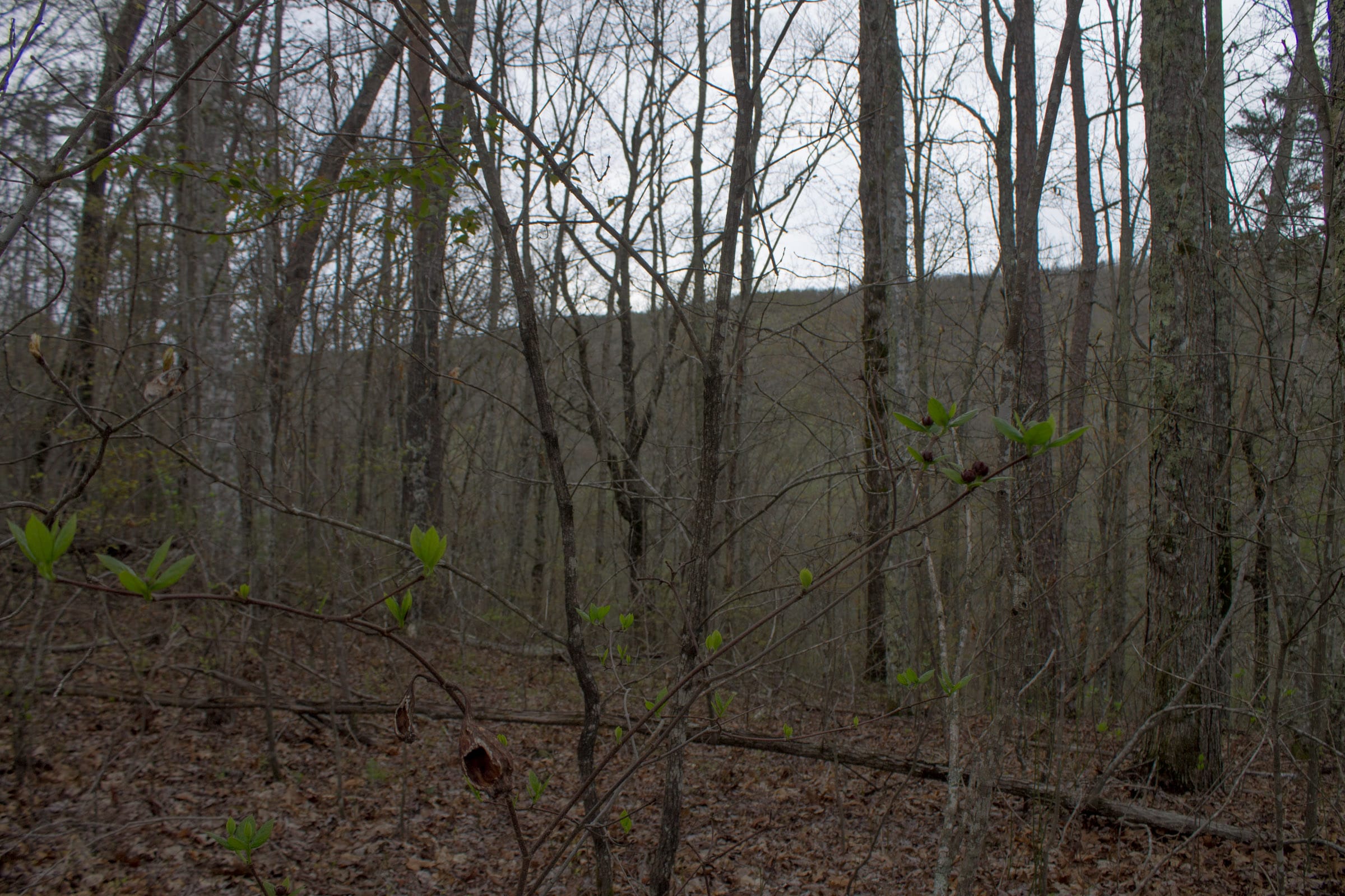 Hidden Hills Tract 22 photo 18