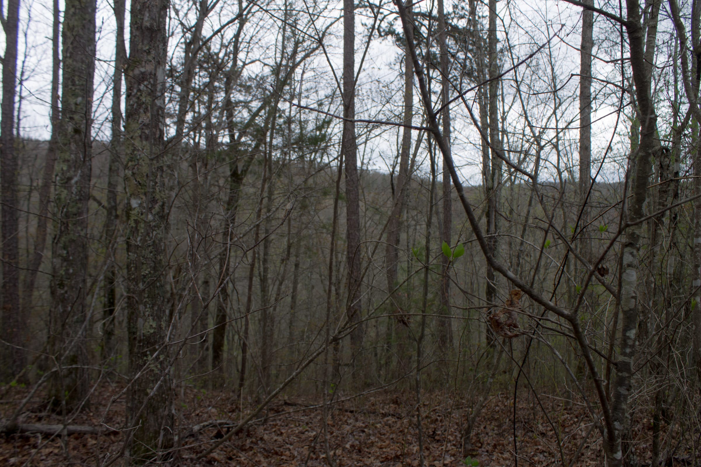 Hidden Hills Tract 22 photo 19