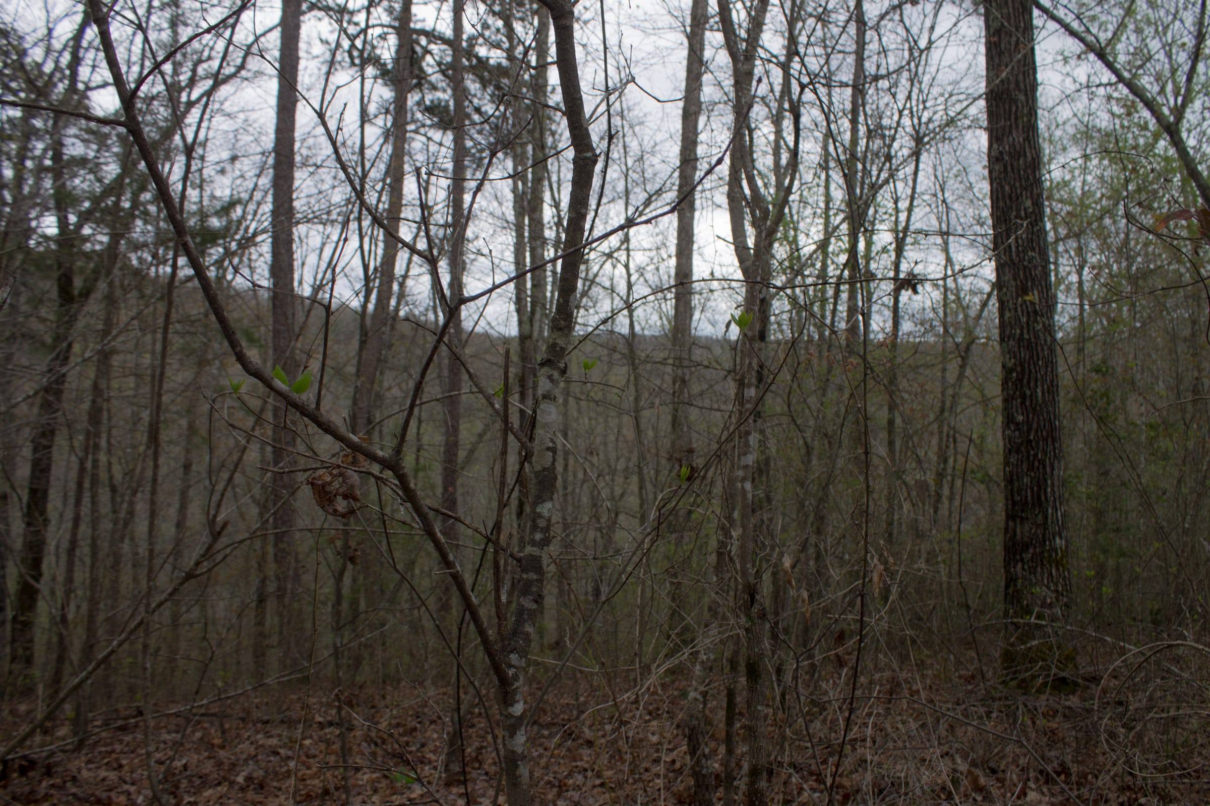 Hidden Hills Tract 22 photo 20